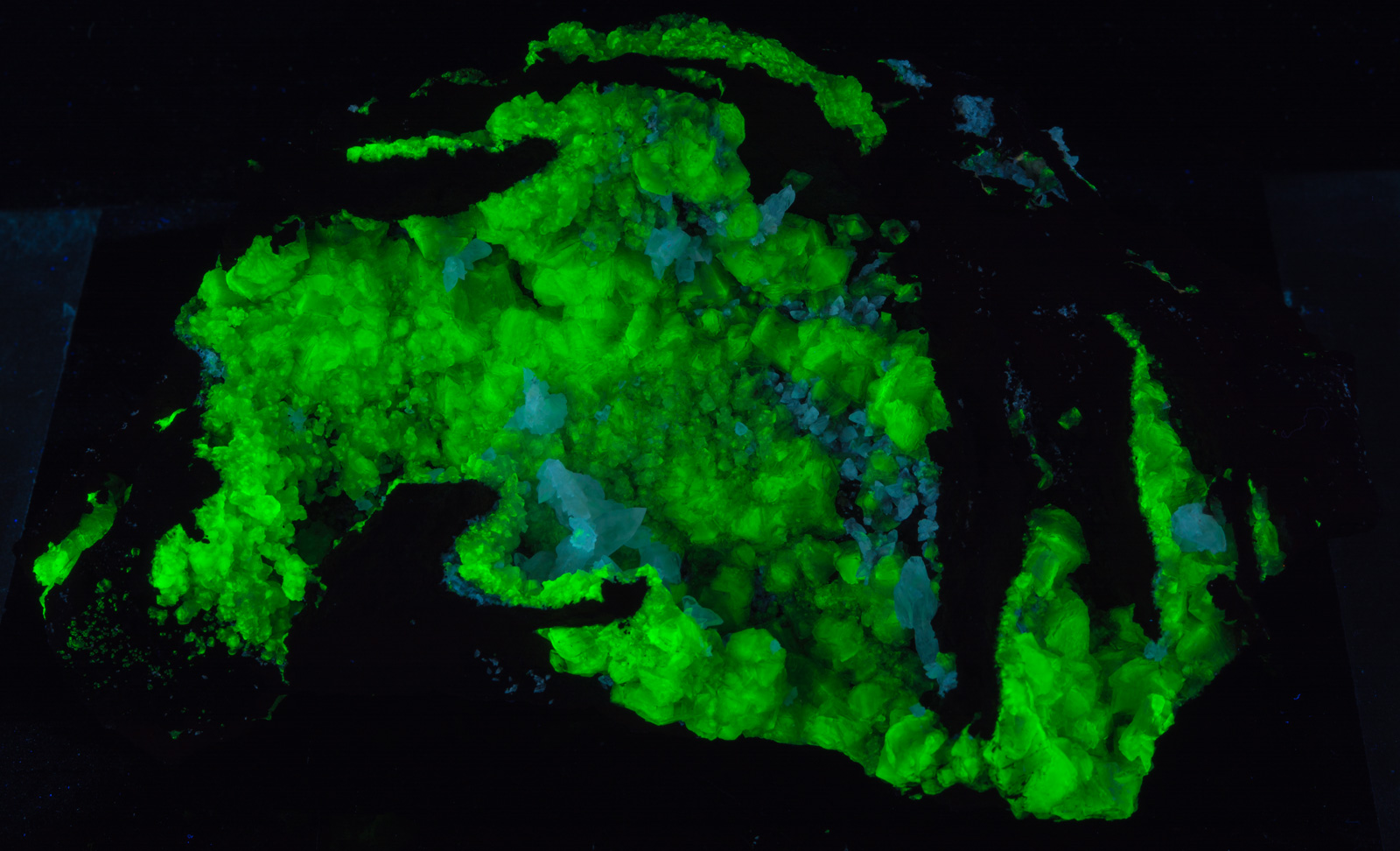 Fluorescence under midwave UV light.