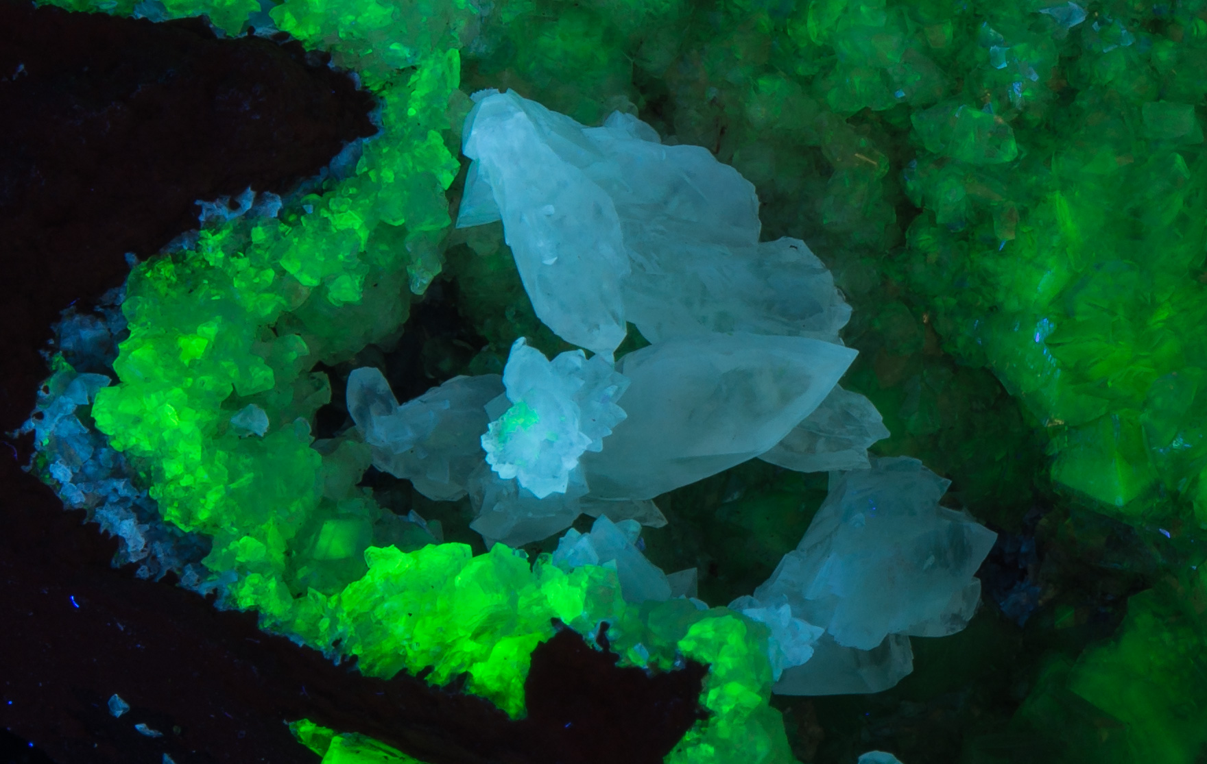 Fluorescence under midwave UV light. Closeup.