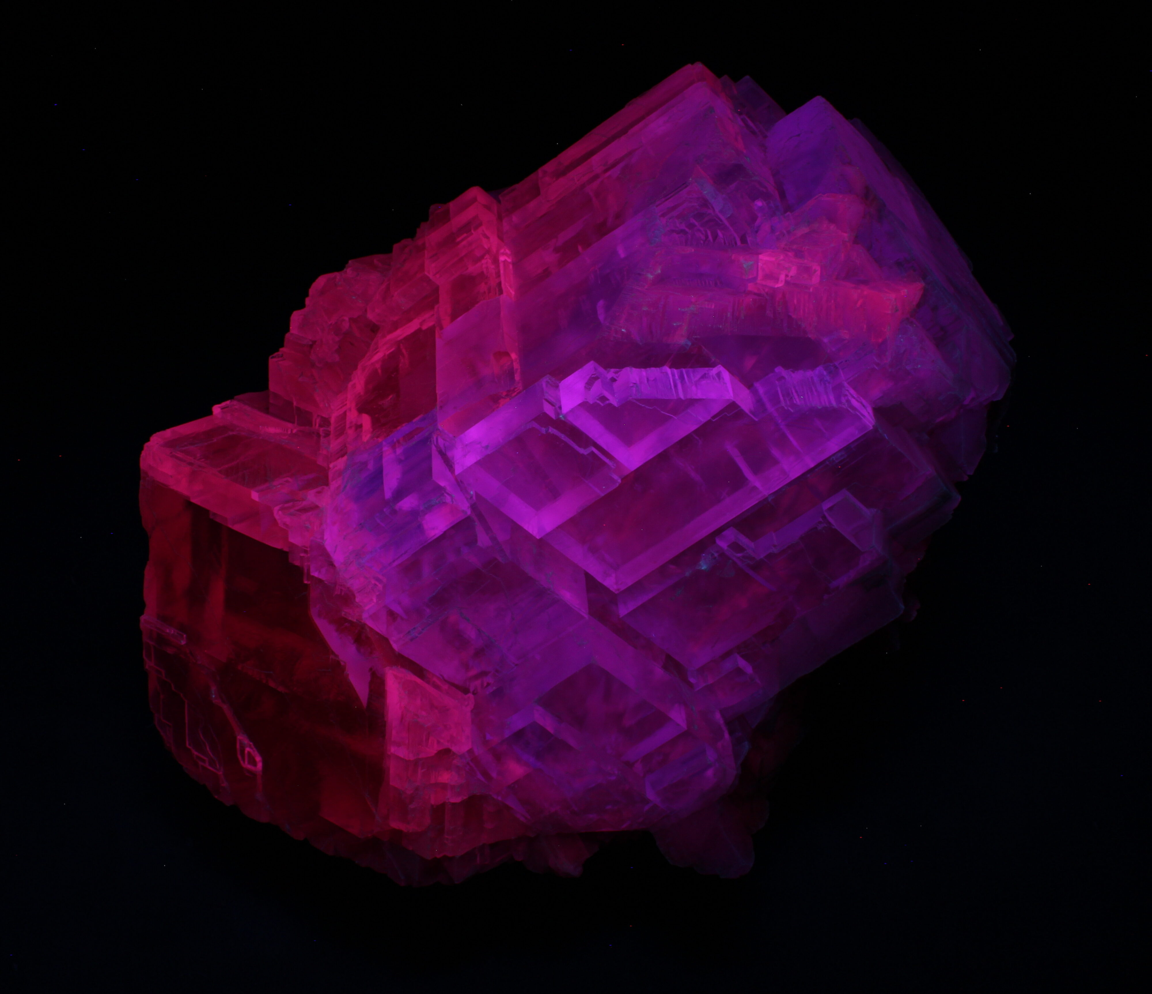 Fluorescence under midwave UV light.