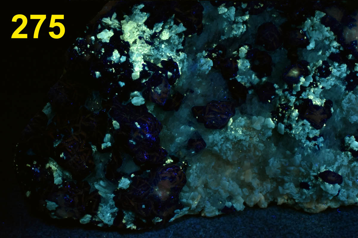 Fluorescence under shortwave UV light.