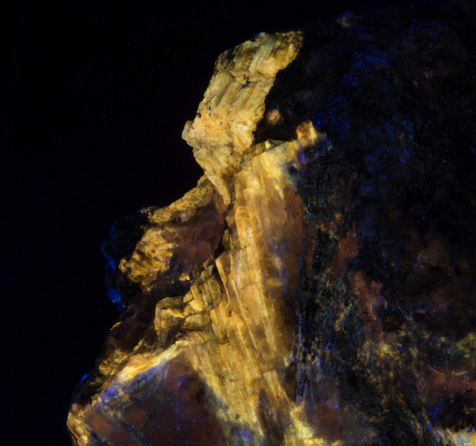 Fluorescence under longwave UV light. Closeup