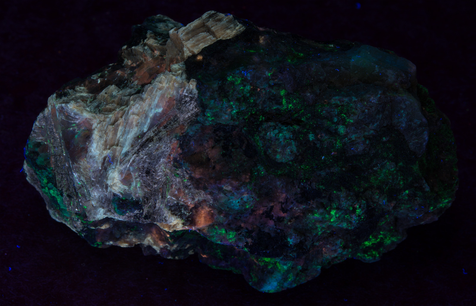 Fluorescence under shortwave UV light.
