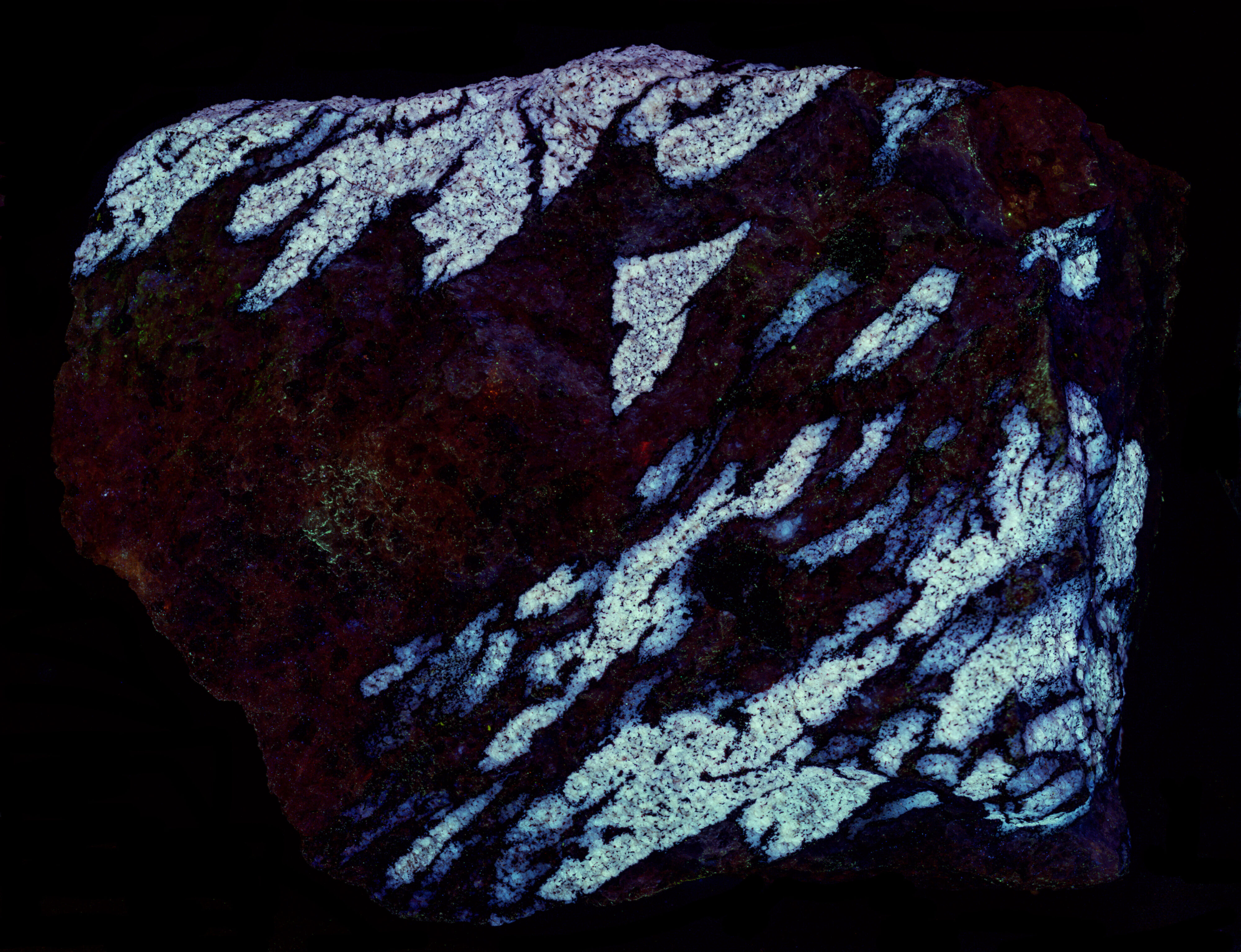 Ultraviolet fluorescence under shortwave UV light. False color of 310 nm, 350 nm, and 394 nm bandpass images.