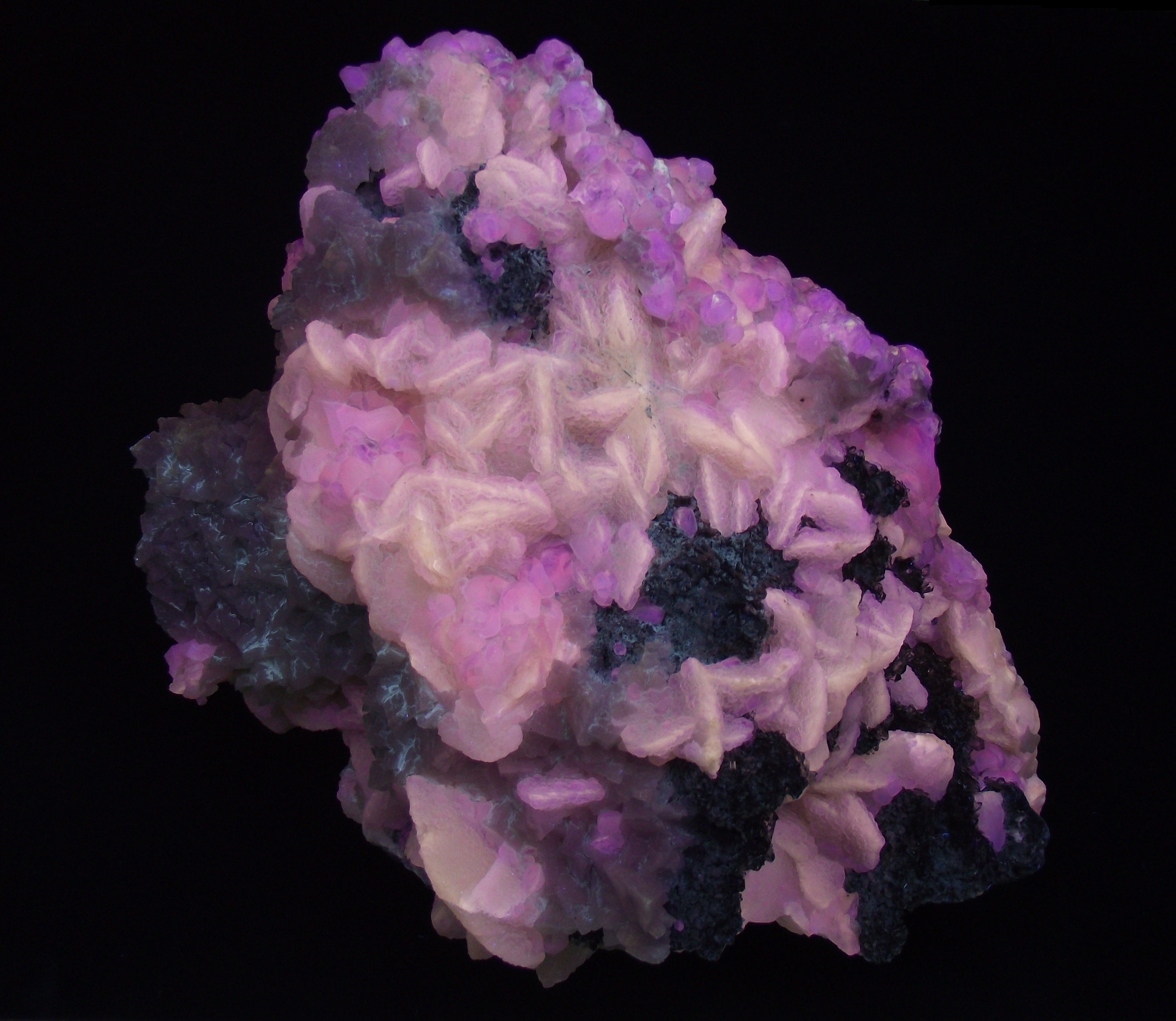 Fluorescence under midwave UV light.