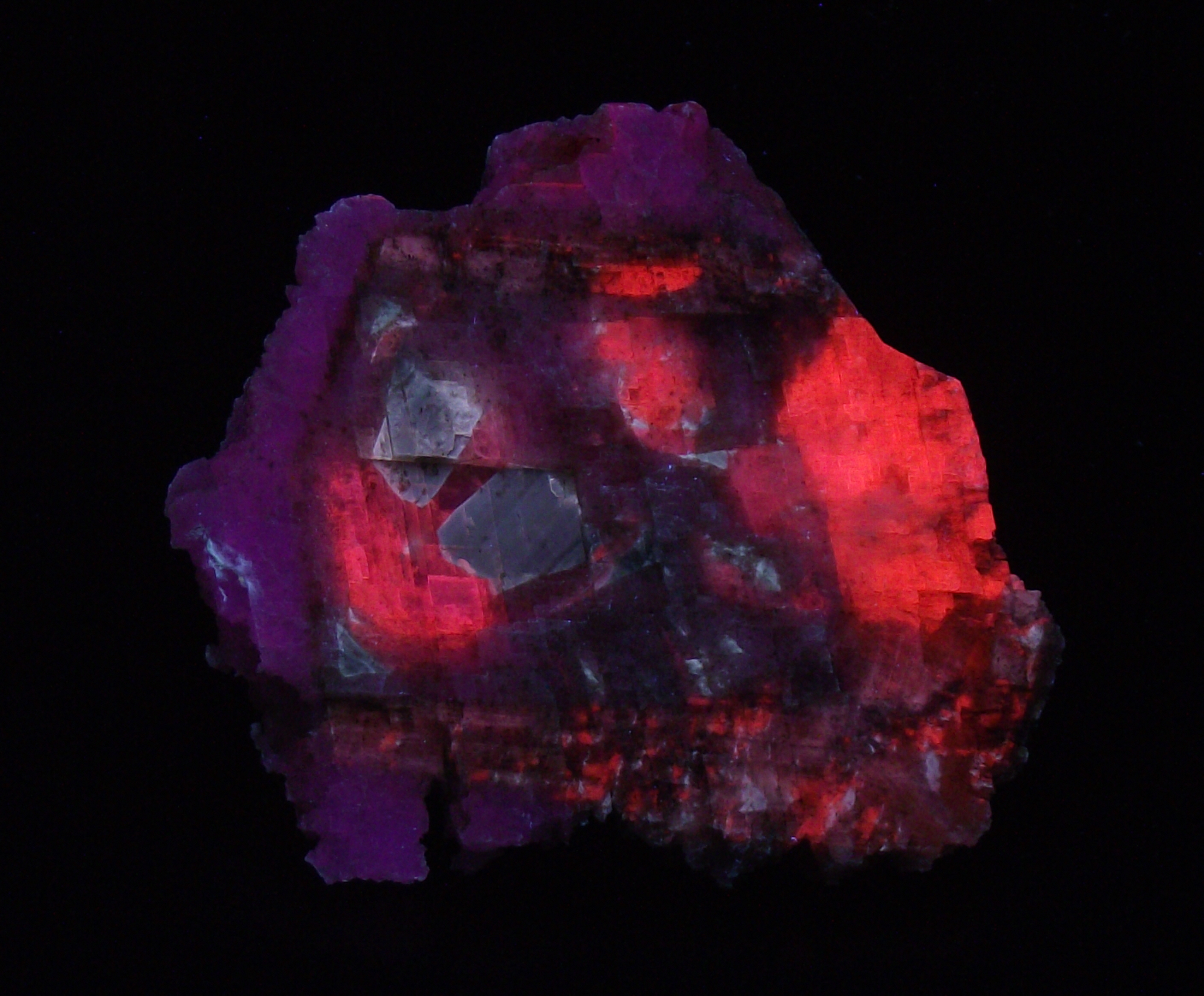 Fluorescence under midwave UV light.