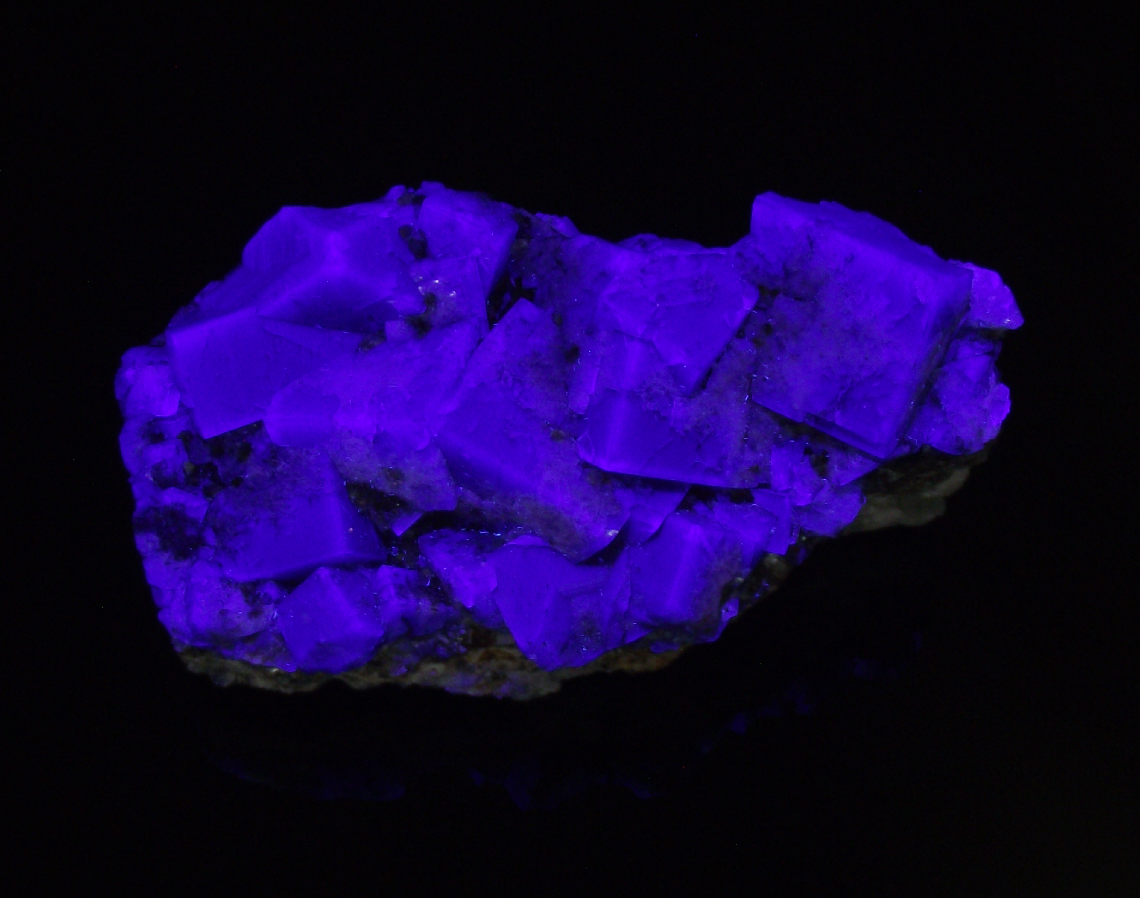 Fluorescence under longwave UV light.