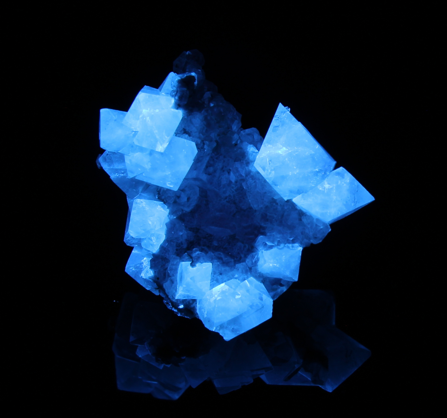 Fluorescence under shortwave UV light.