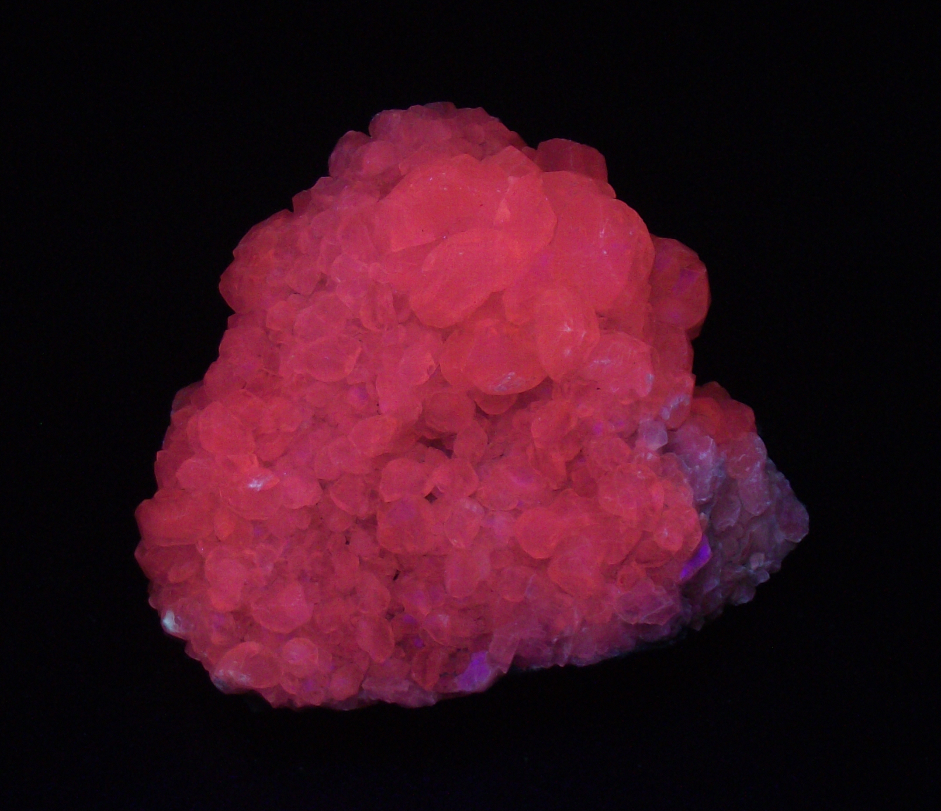 Fluorescence under shortwave UV light.