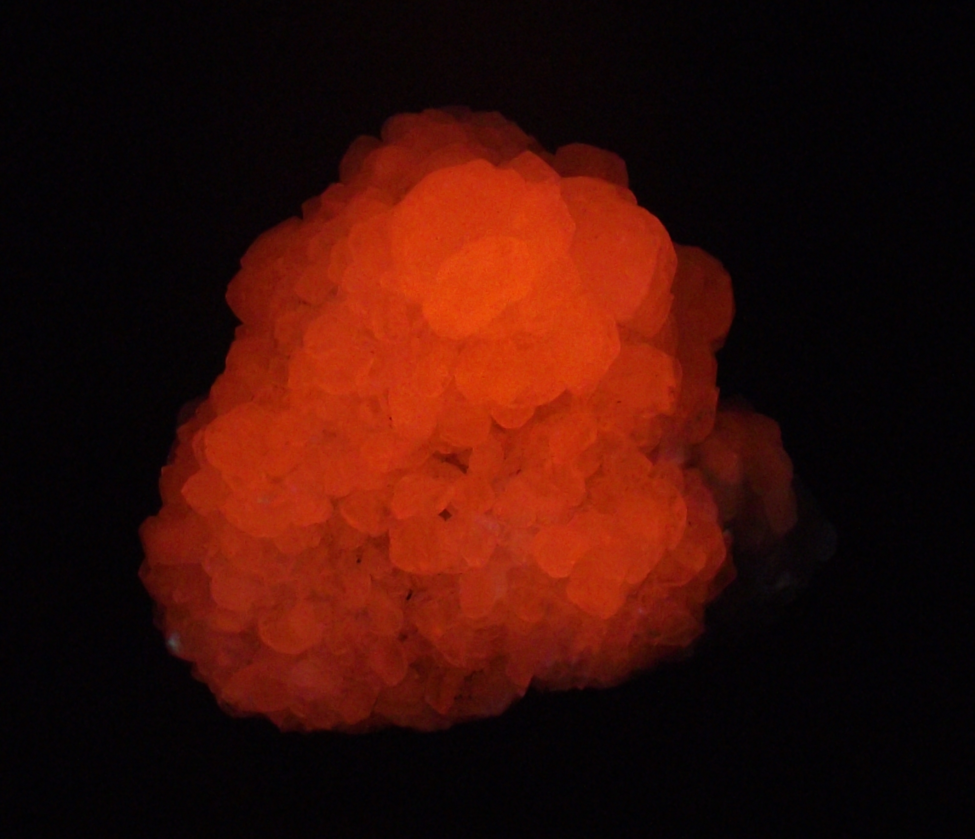Afterglow after exposure to longwave UV light (BIP).