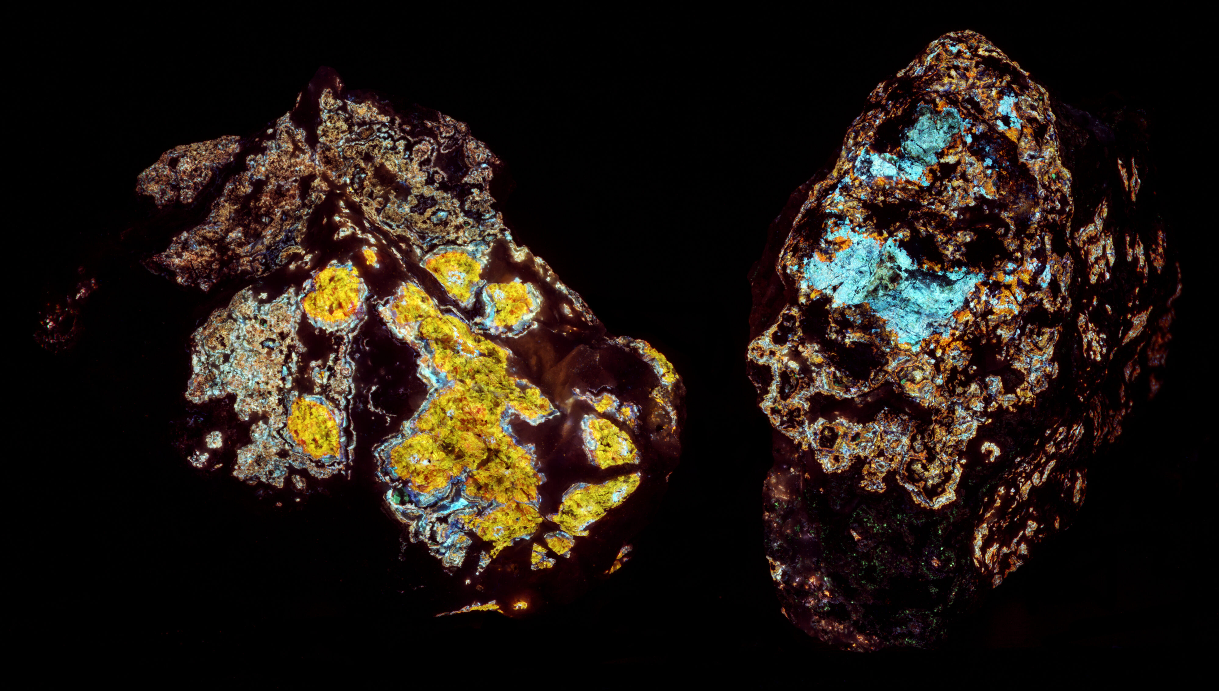 False color image of longwave near infrared fluorescence
