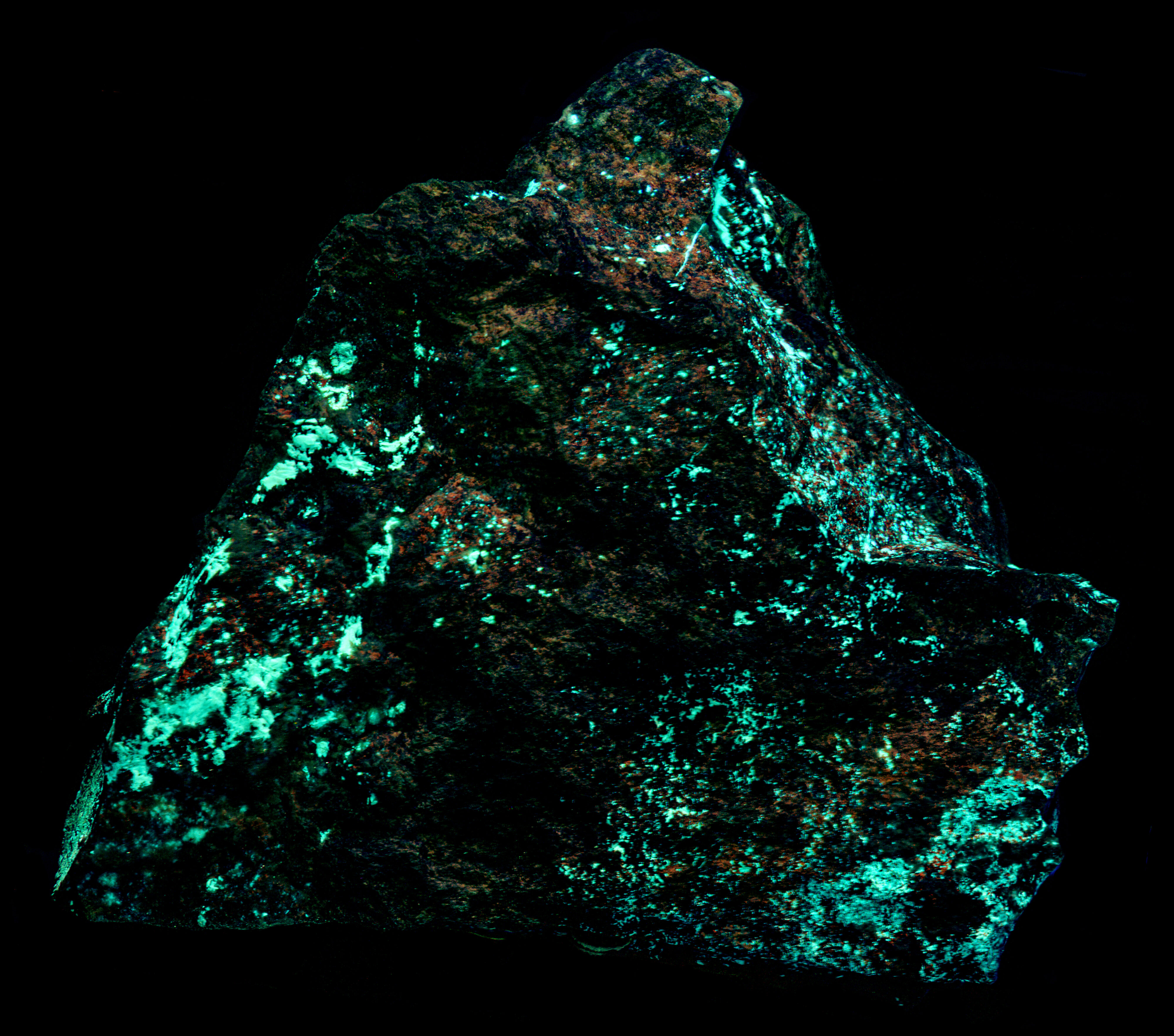 Ultraviolet fluorescence under shortwave UV light. False color of 310 nm, 350 nm, and 394 nm bandpass images.