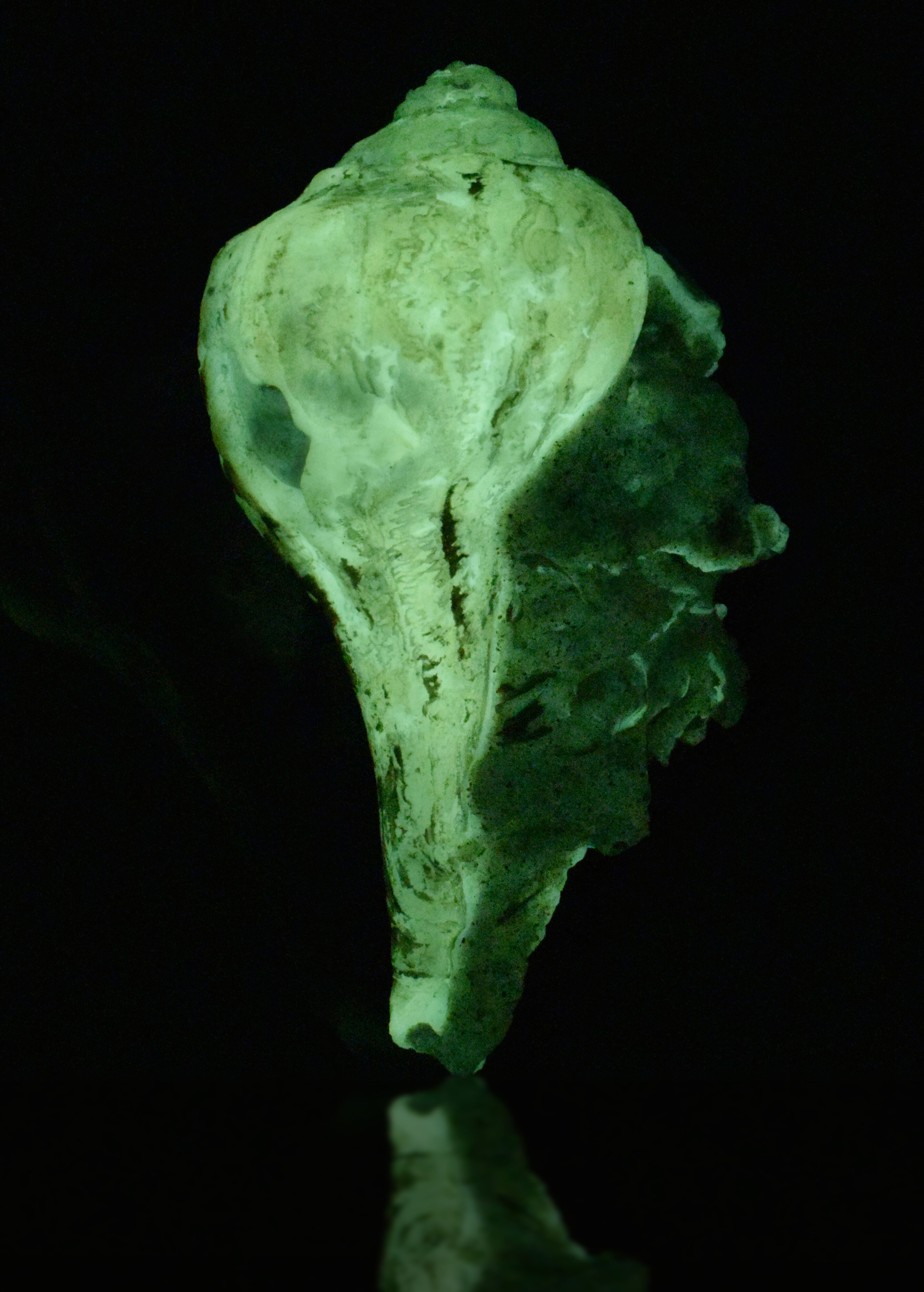 Afterglow after exposure to longwave UV light.