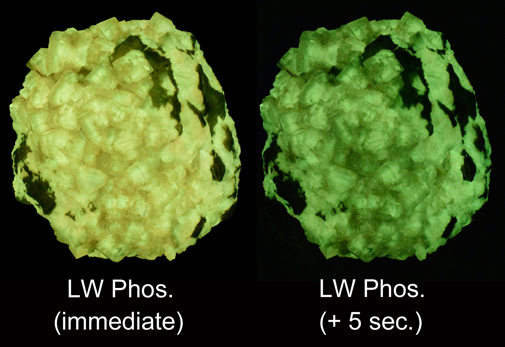 Afterglow after exposure to longwave UV light.