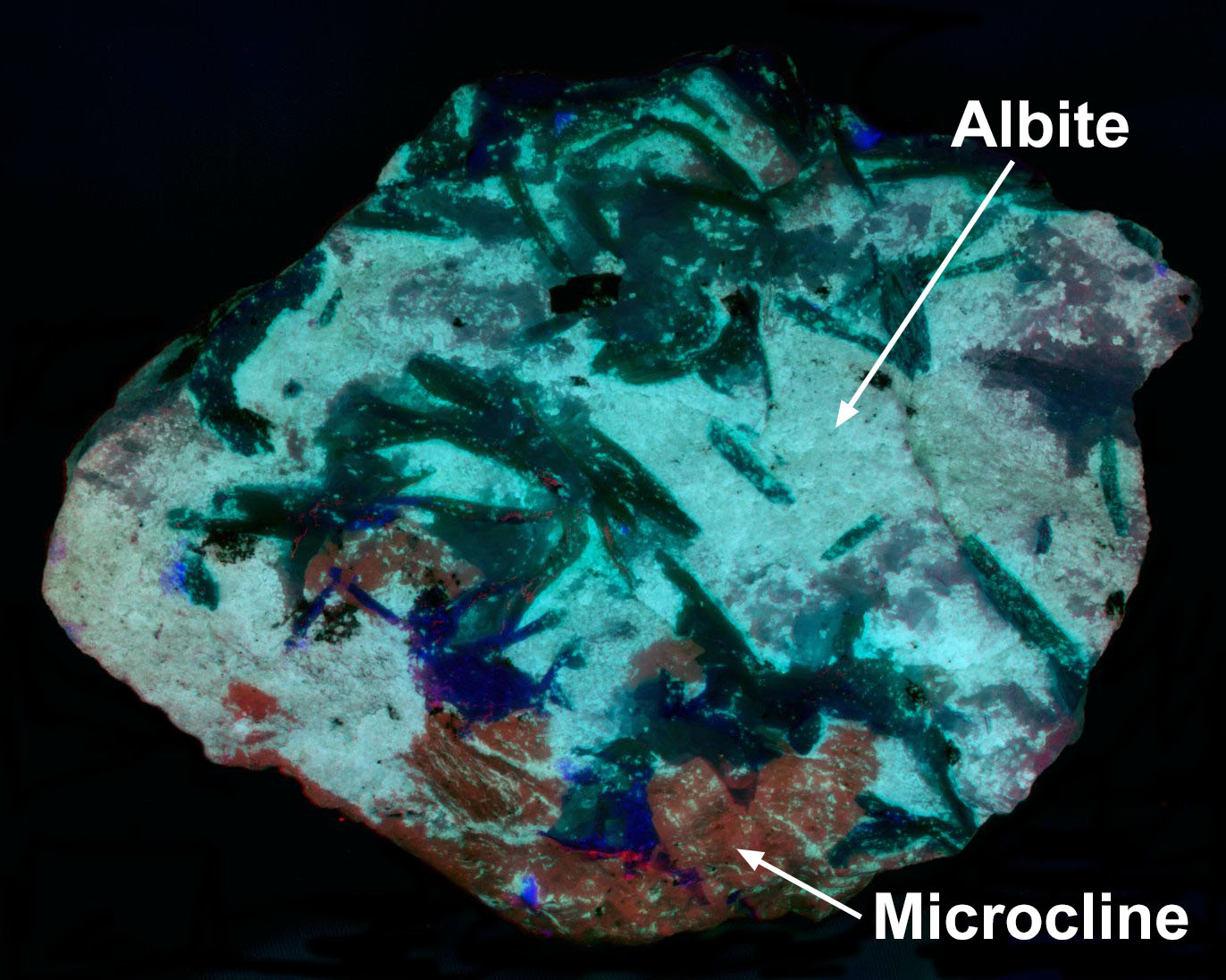 False color image of shortwave infrared fluorescence. Red=Visible red Green=730nm bandpass Blue=850 Cutoff filter