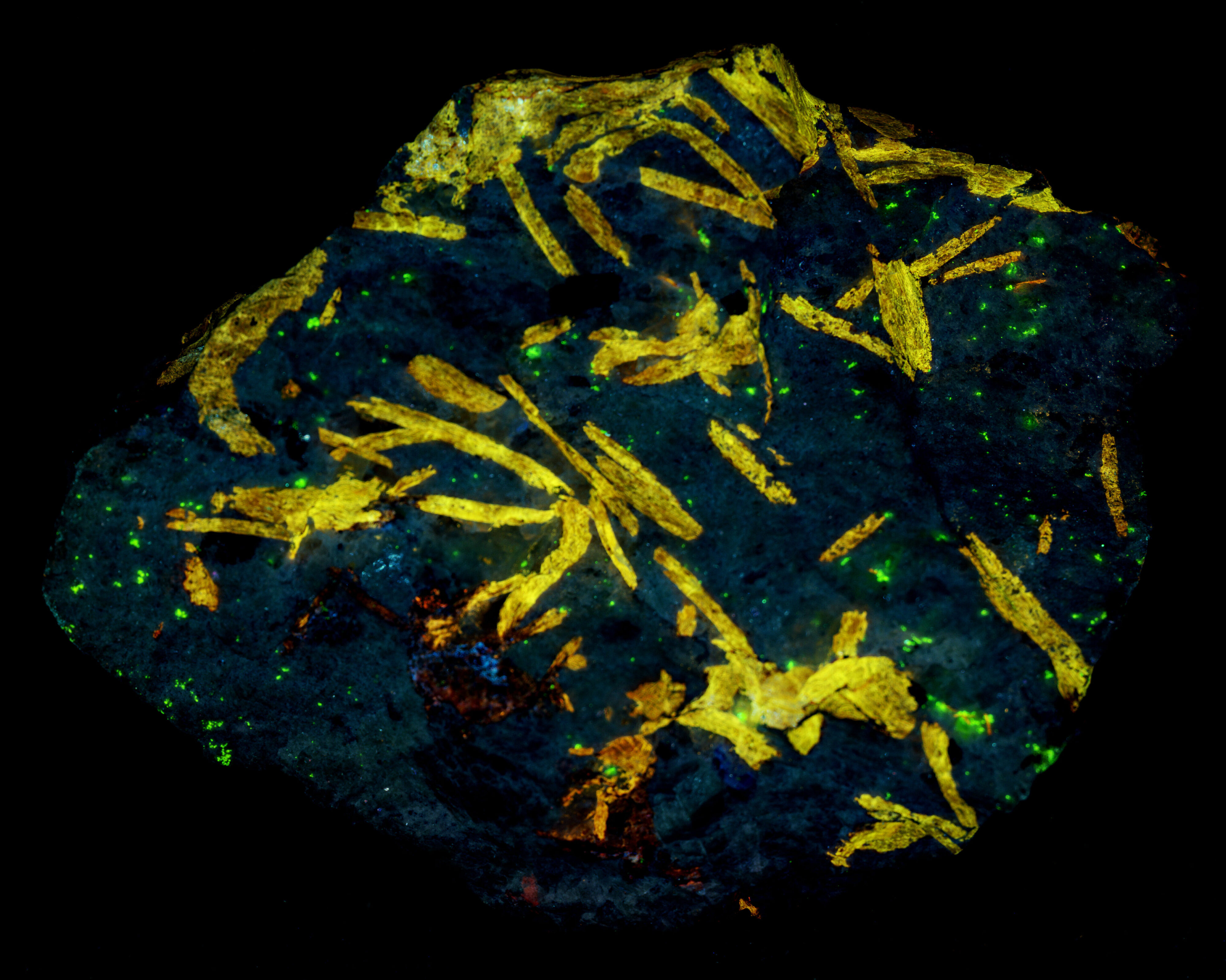 Ultraviolet fluorescence under shortwave UV light. False color of 310 nm, 350 nm, and 394 nm bandpass images.
