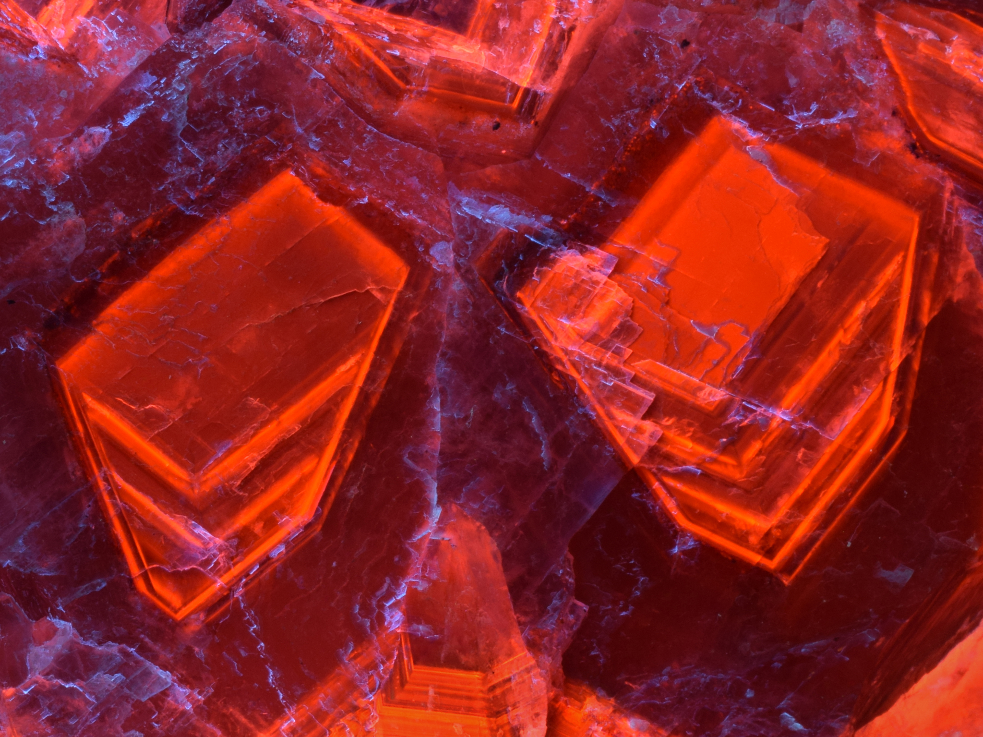 Fluorescence under shortwave UV light. Closeup 3