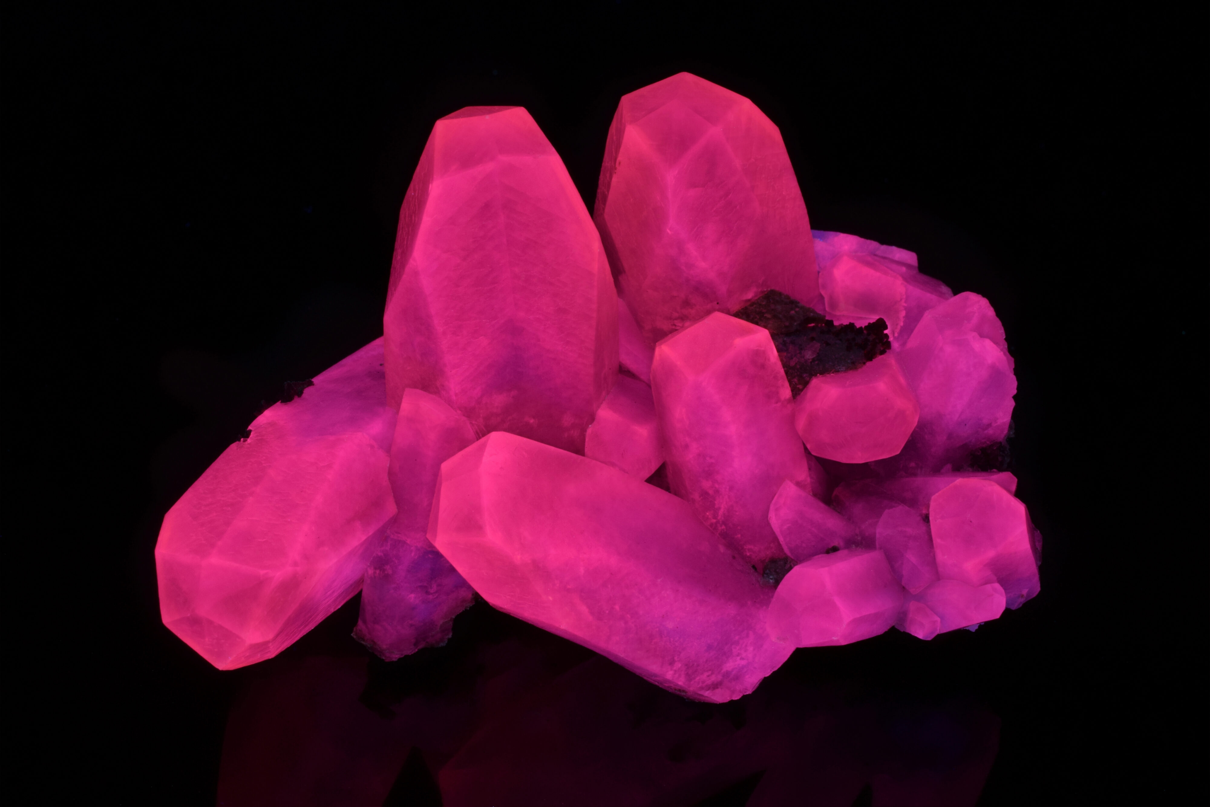 Fluorescence under midwave UV light.