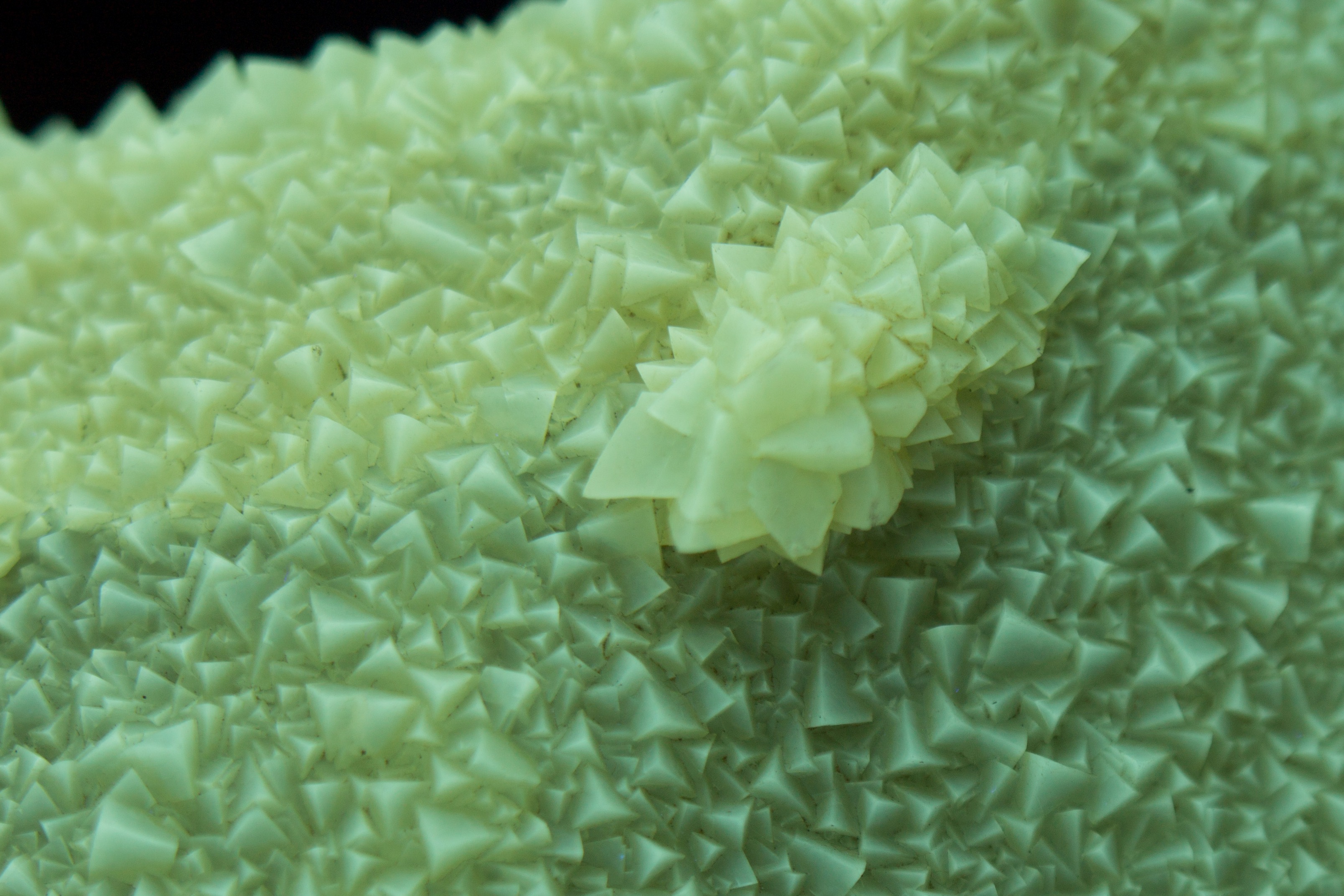 Fluorescence under longwave UV light. Closeup