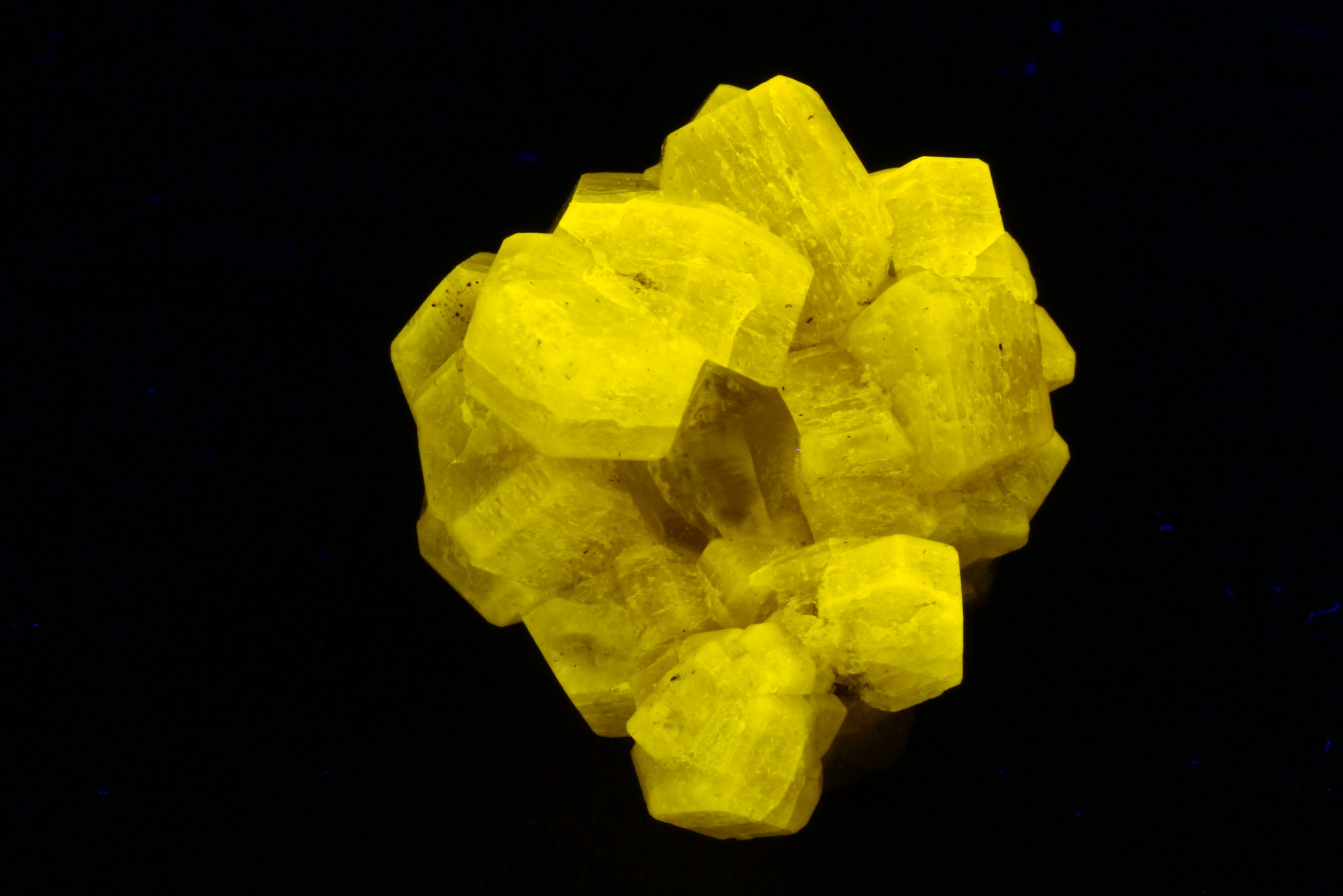 Fluorescence under shortwave UV light.