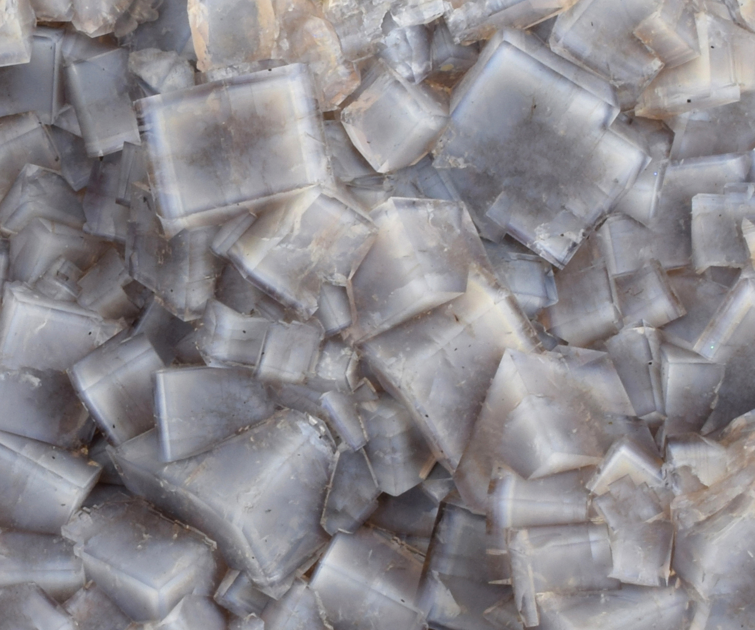 Fluorescence under longwave UV light. Closeup detail showing fluorescent zoning within the fluorite cubes. Horizontal FOV = 19mm.