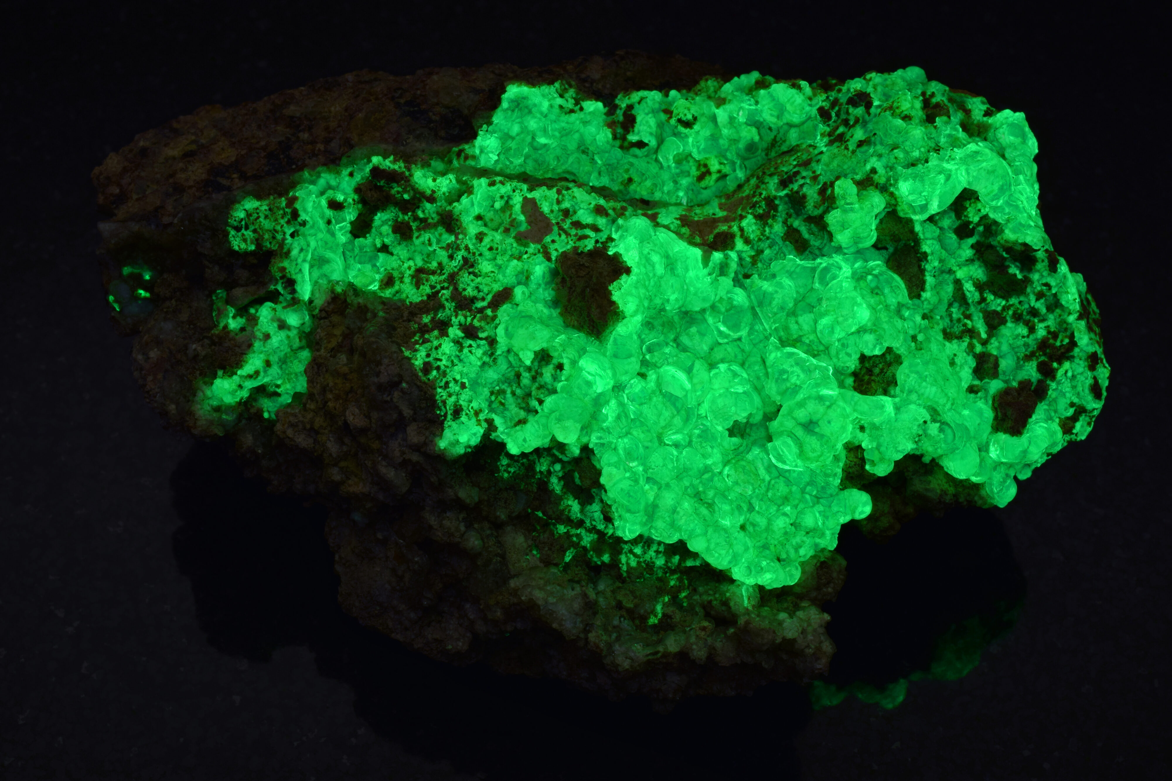 Fluorescence under shortwave UV light.