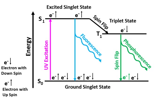 Simplified energy diagram showing singlet and triplet electronic states
