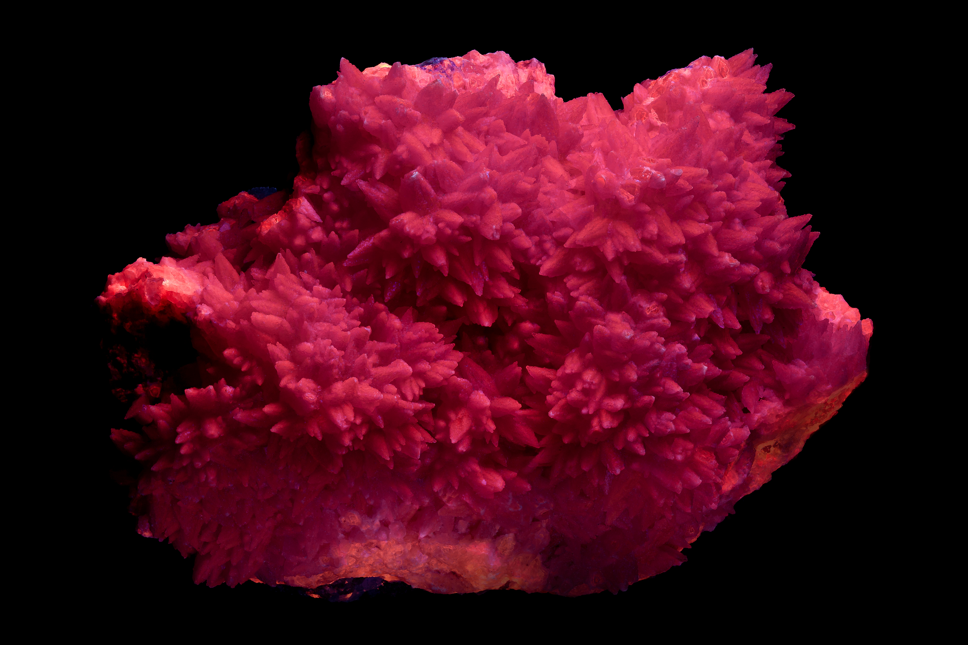 Fluorescence under shortwave UV light.