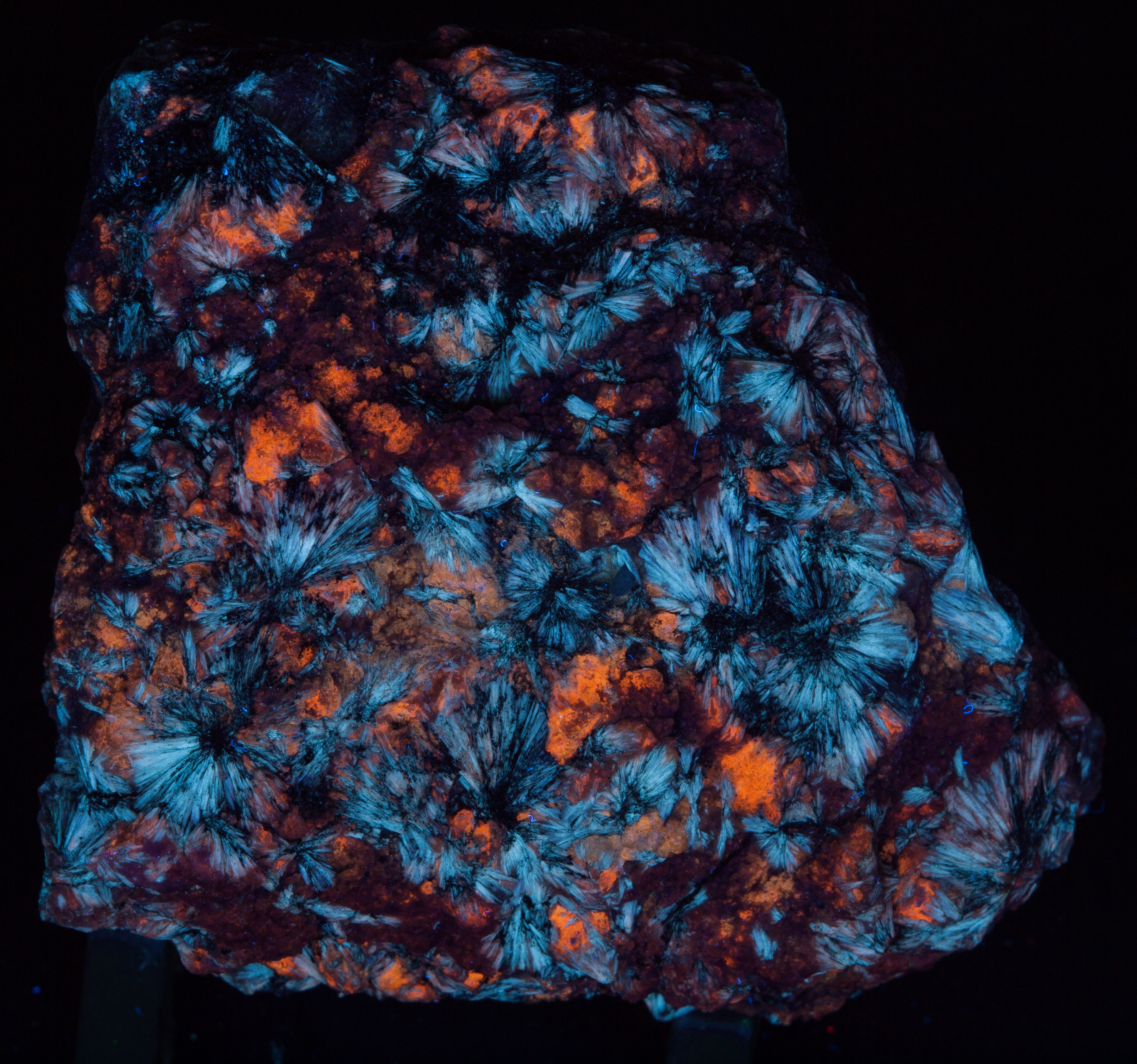 Fluorescence under shortwave UV light.