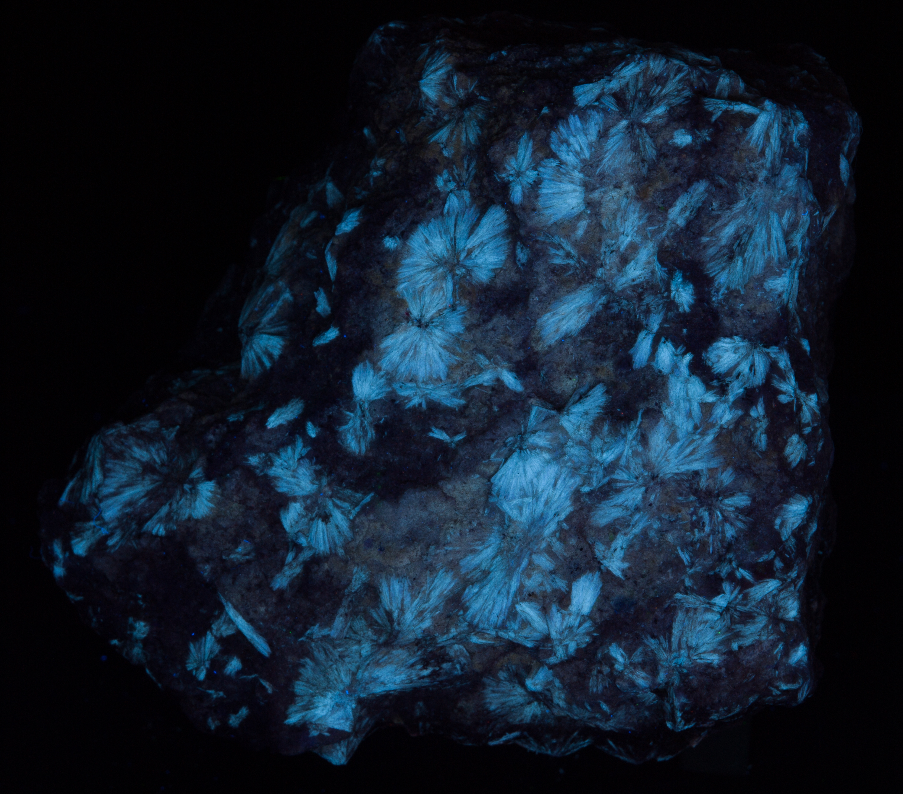 Fluorescence under shortwave UV light. Side 2