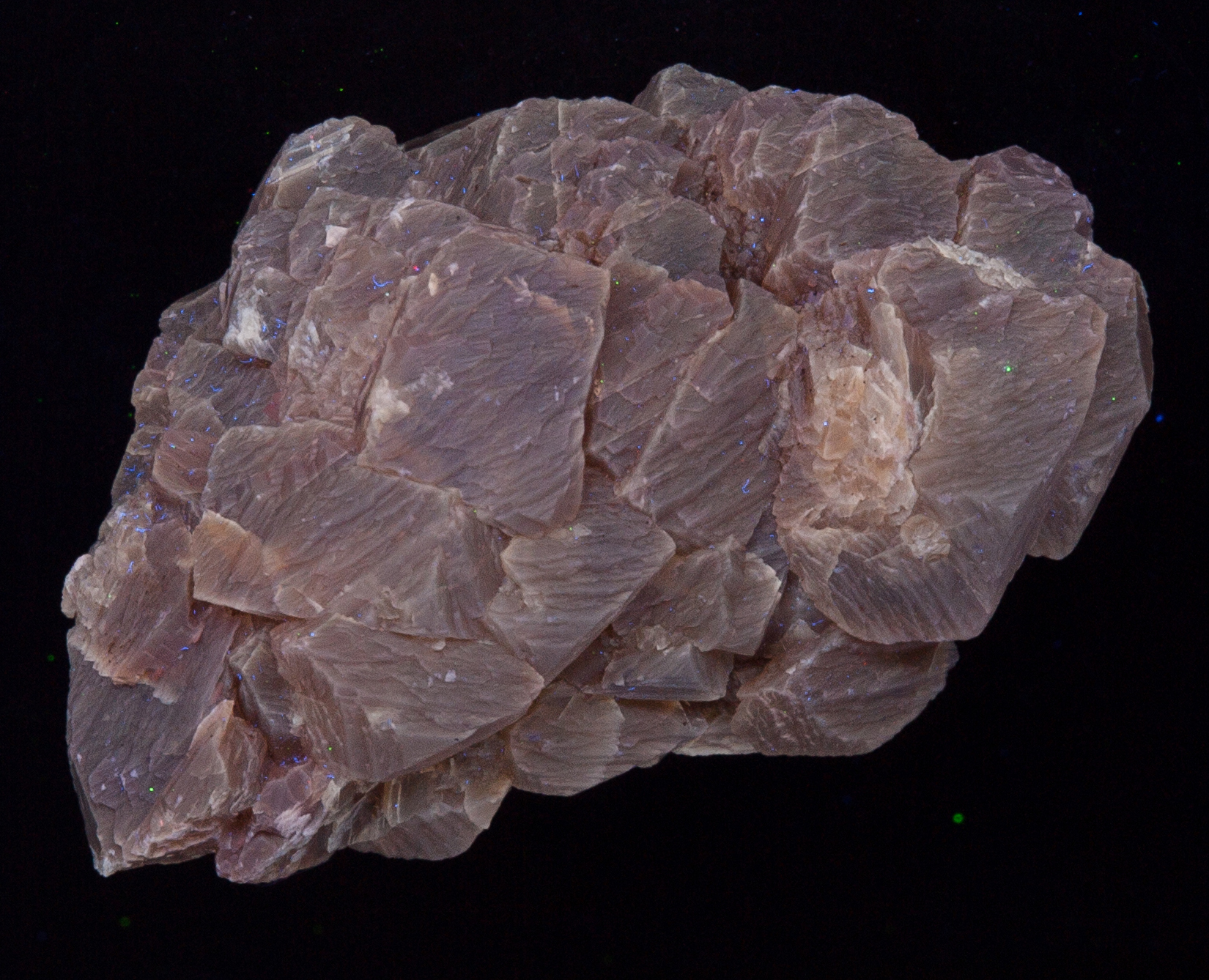 Fluorescence under shortwave UV light.