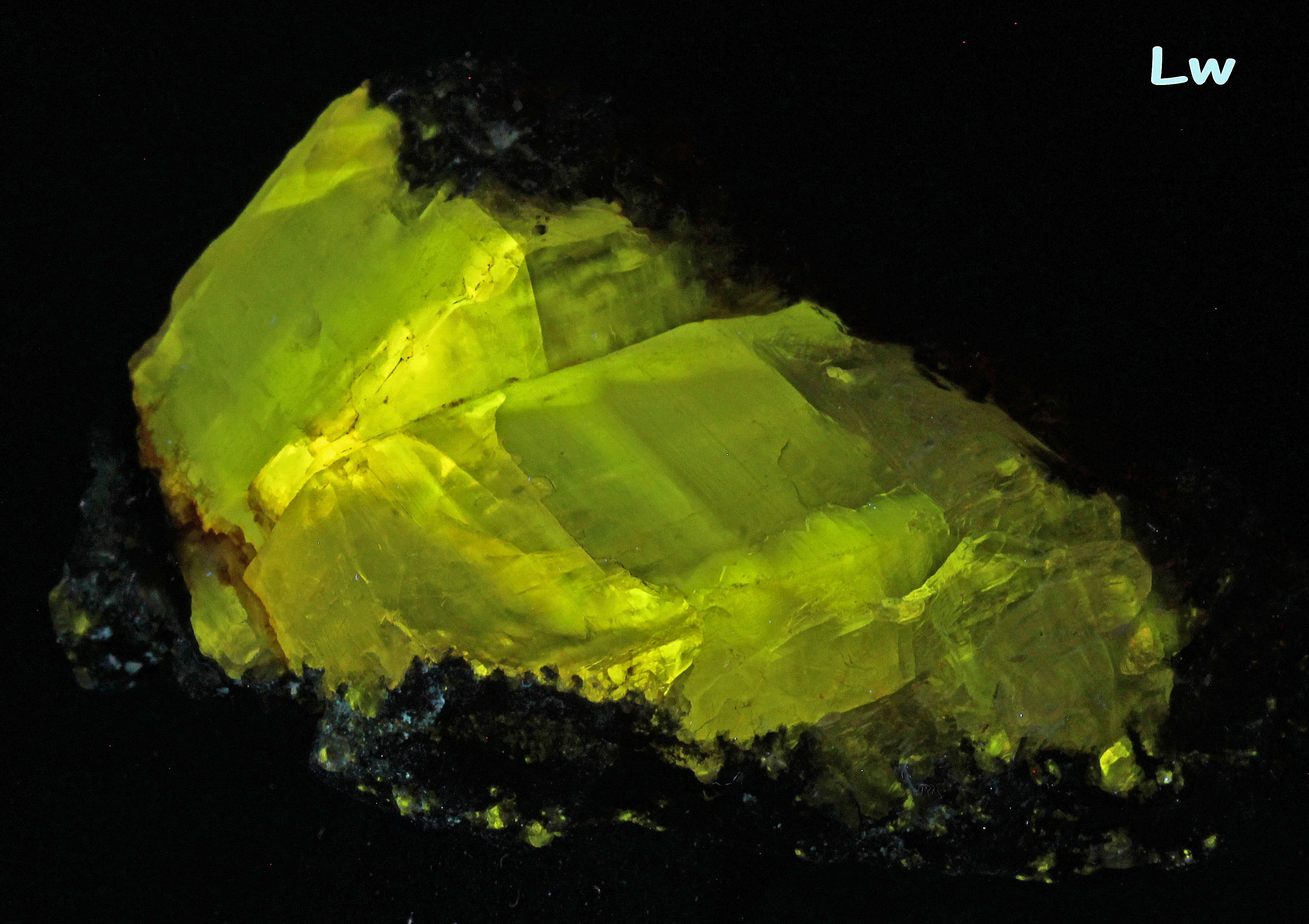 Fluorescence under longwave UV light.