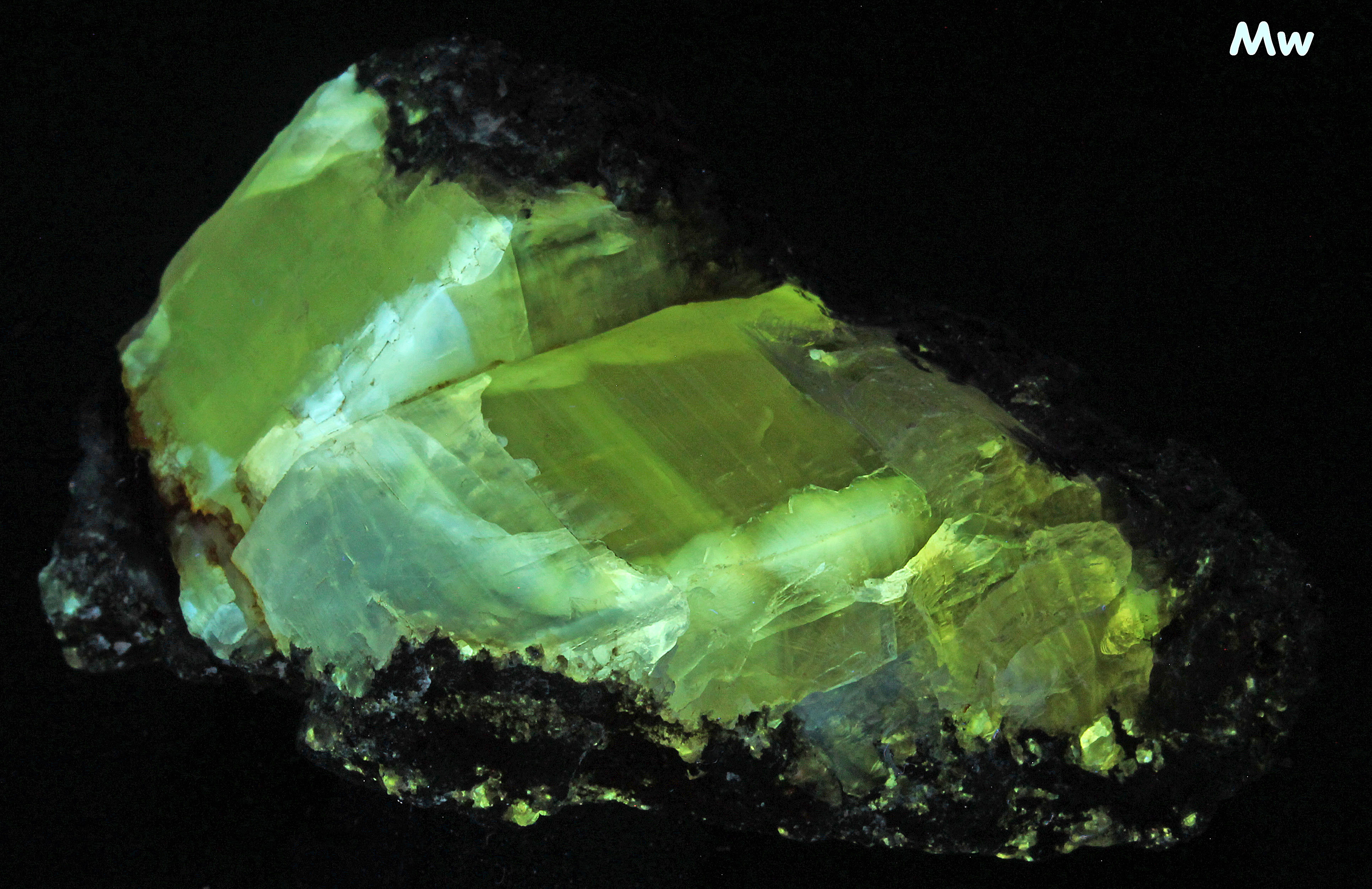 Fluorescence under midwave UV light.