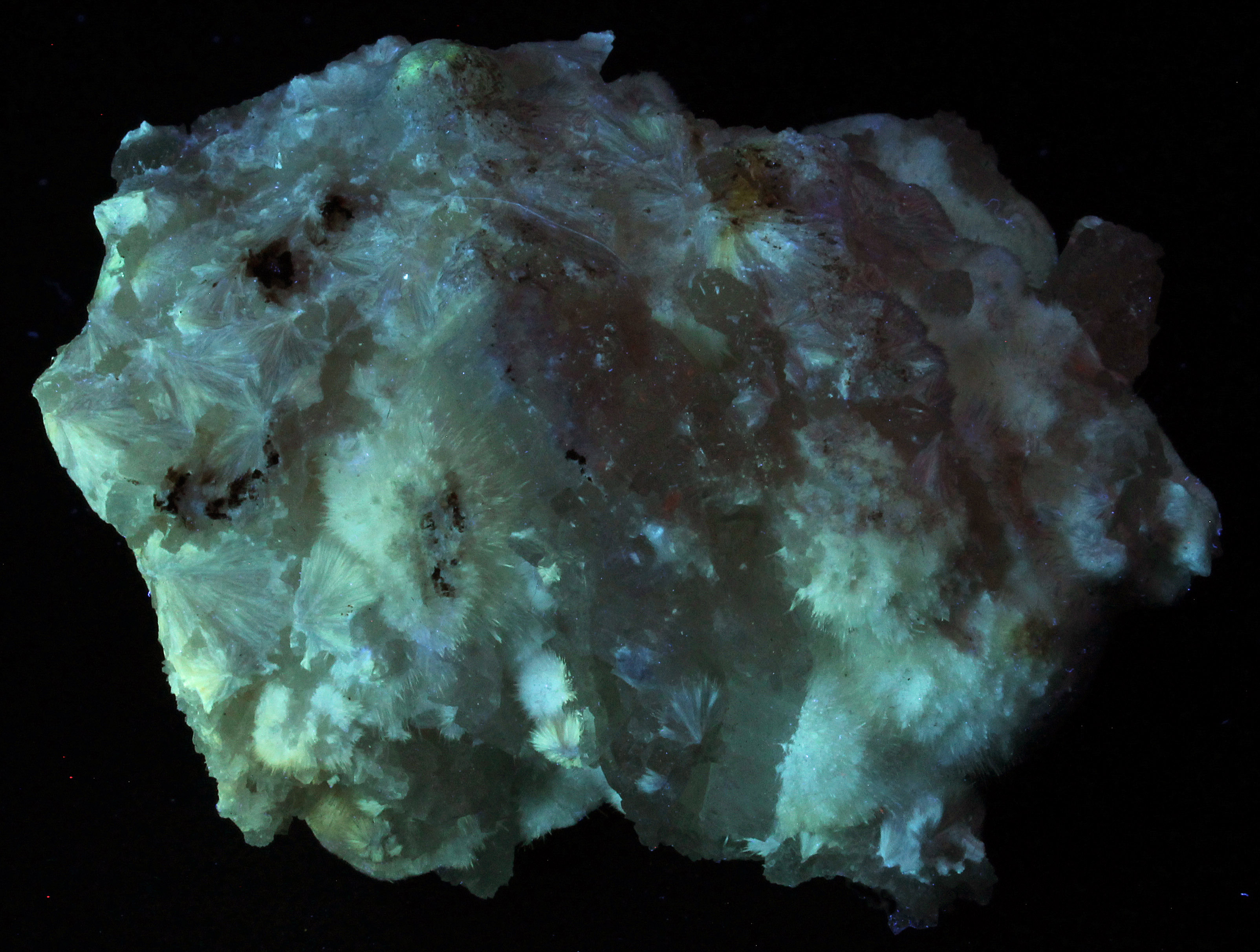 Fluorescence under fullwave (LW + MW + SW) UV light.