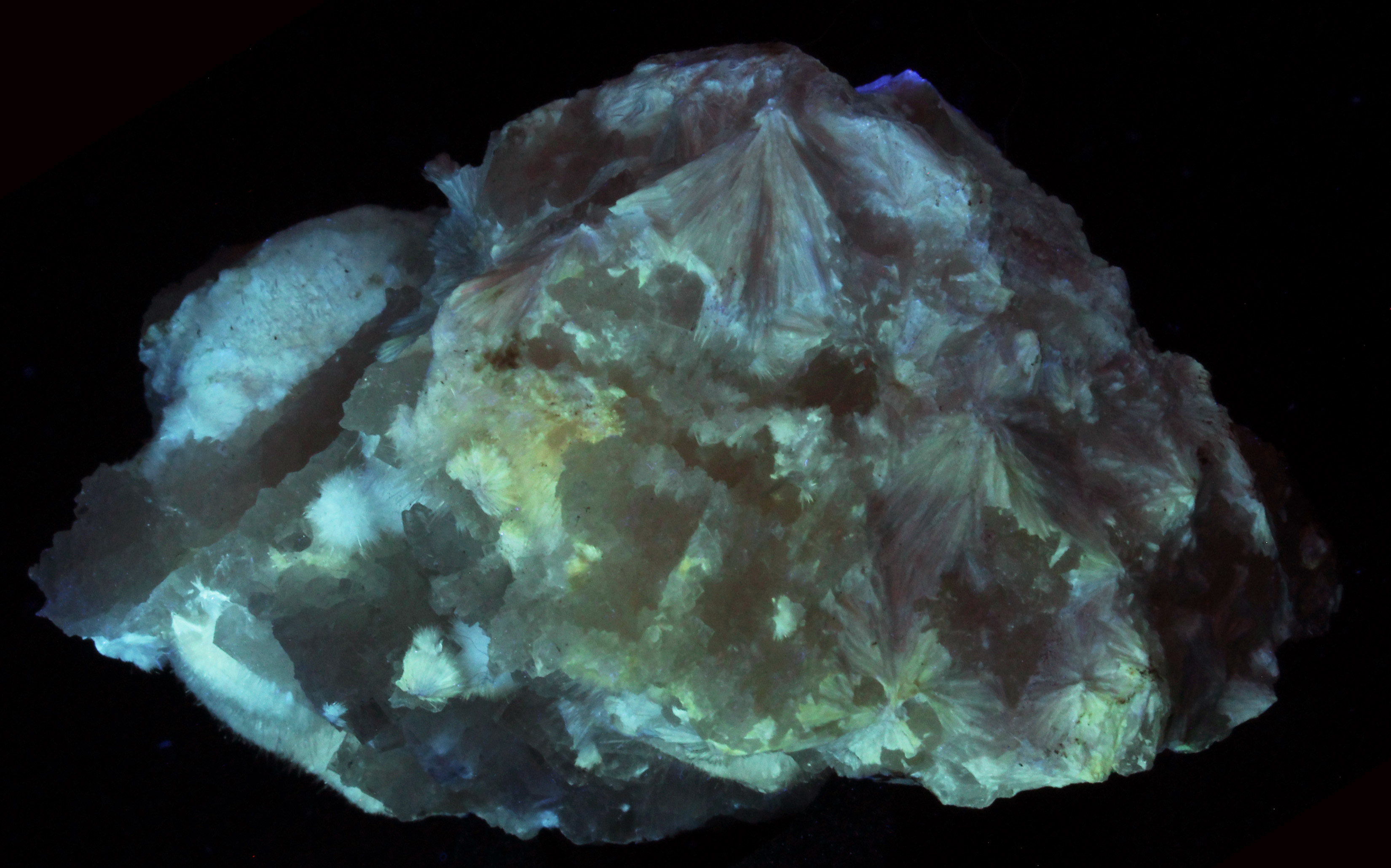 Fluorescence under fullwave (LW + MW + SW) UV light. Side 2