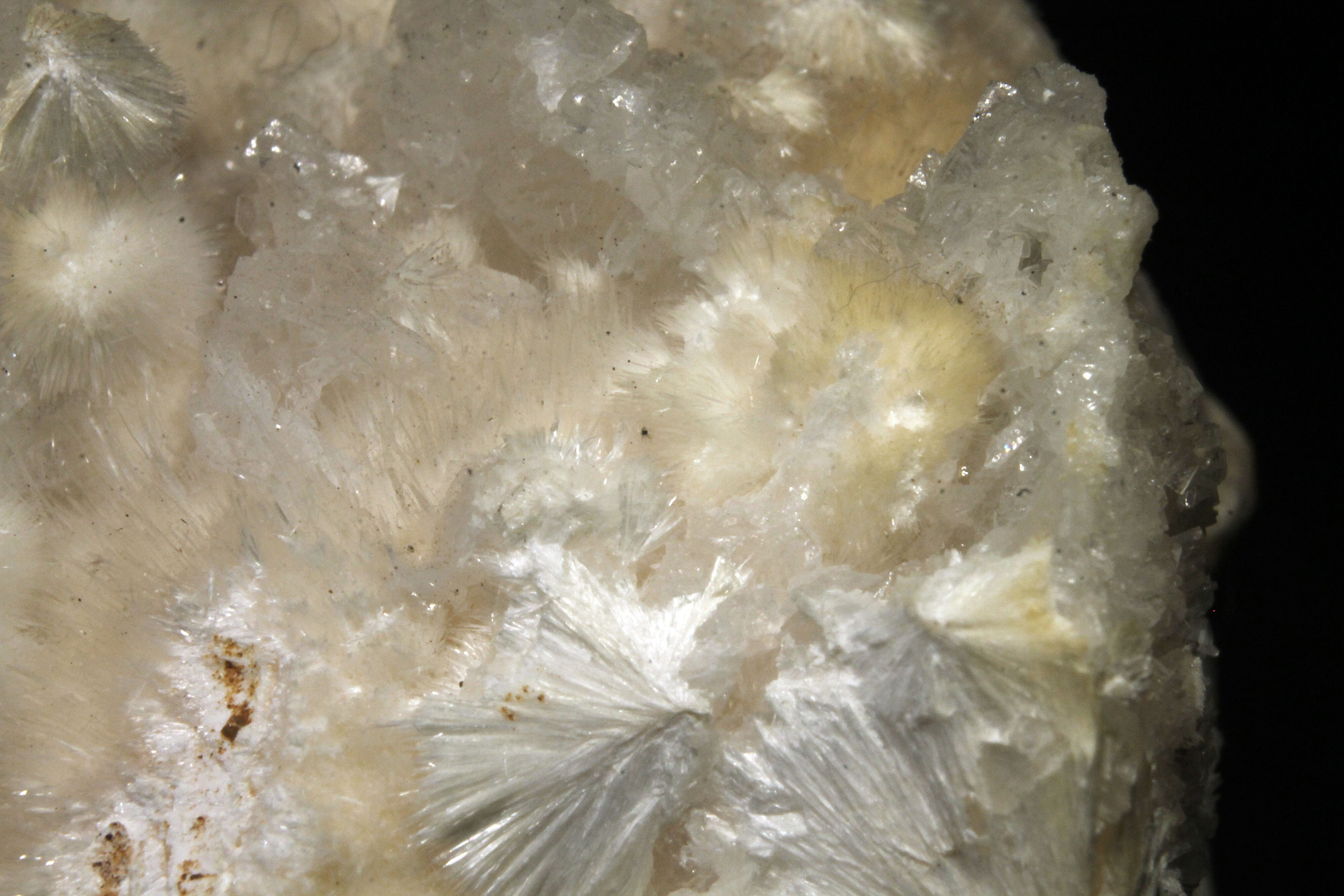 Normal light. Closeup