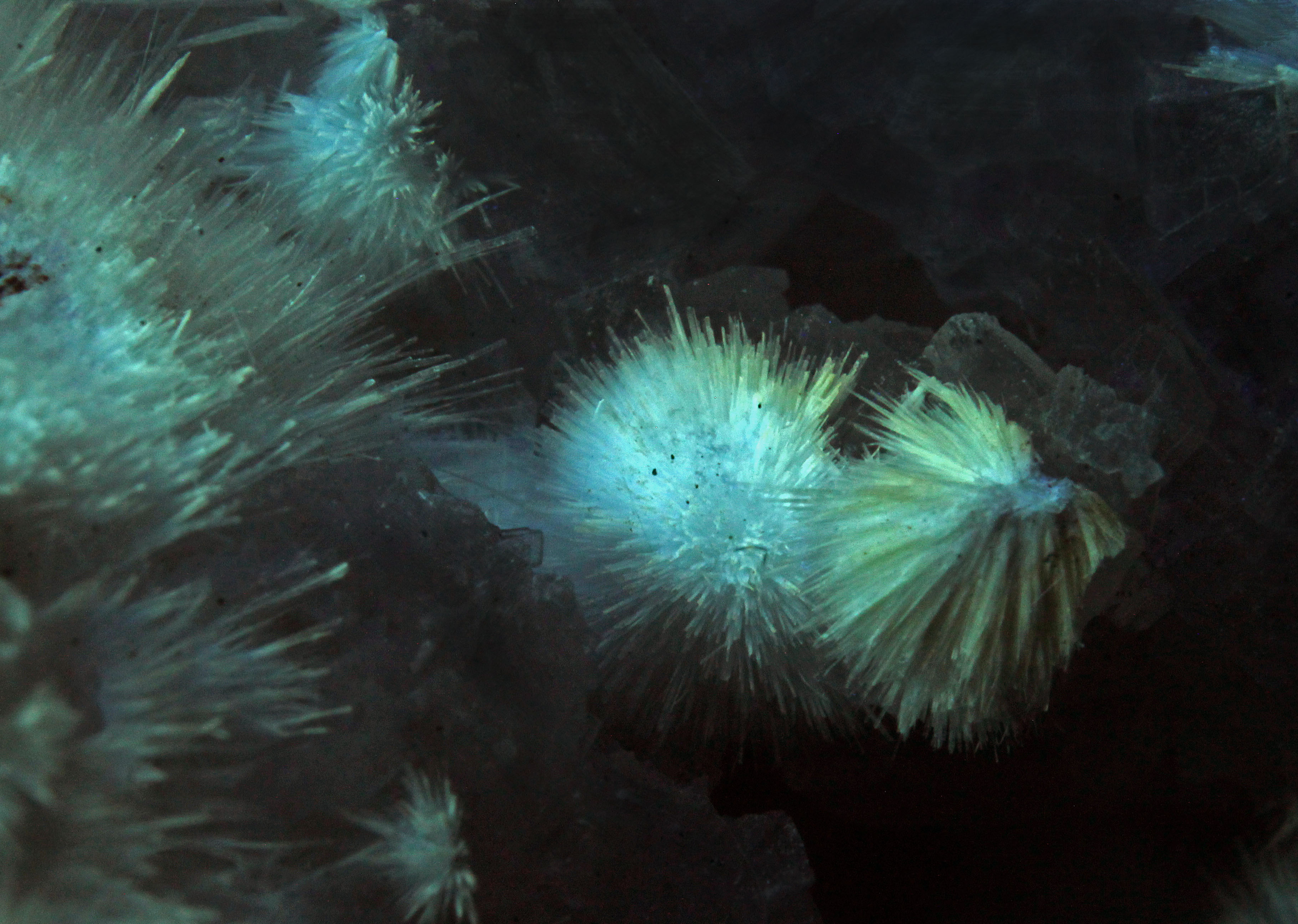 Fluorescence under shortwave UV light. Closeup