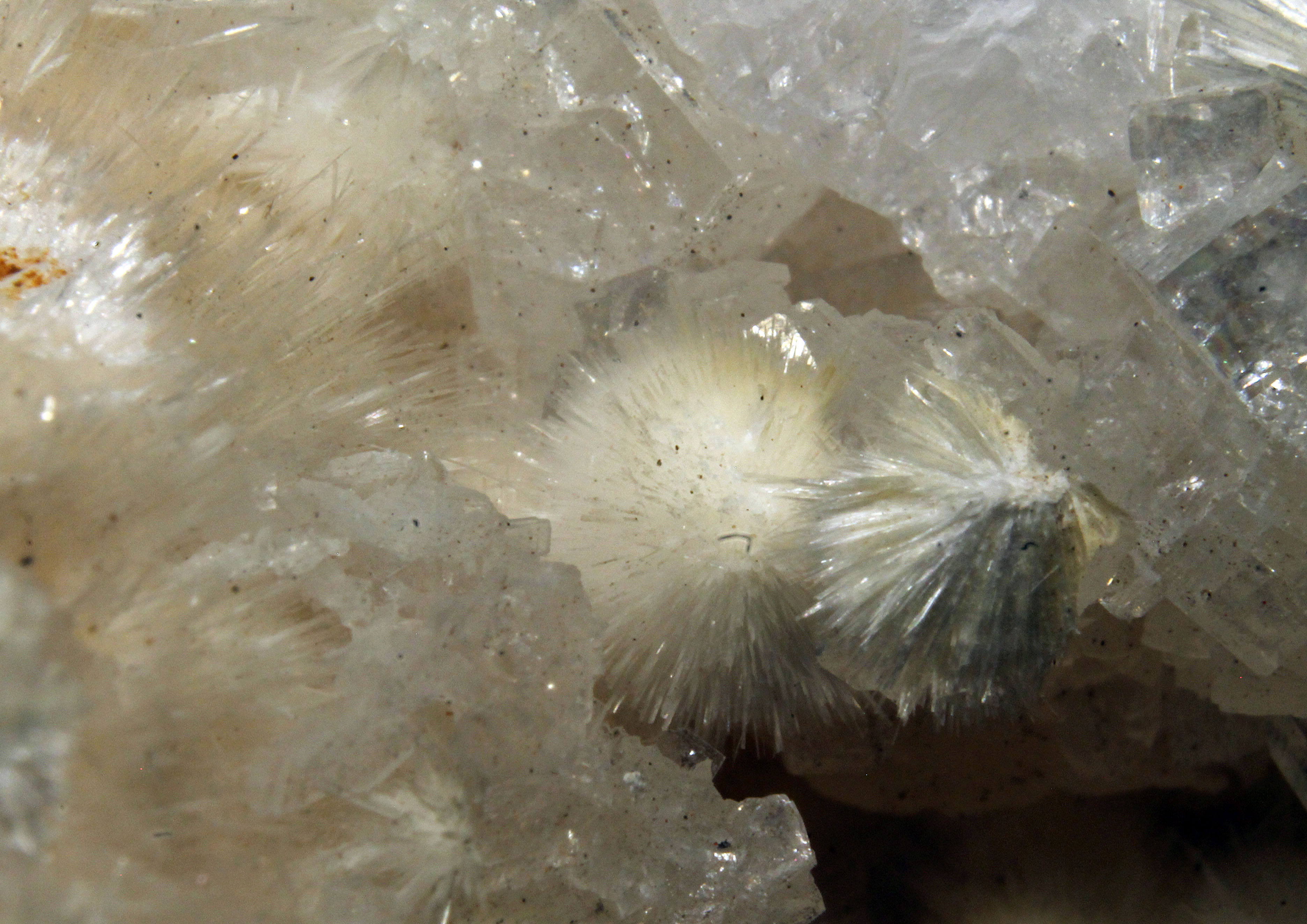 Normal light. Closeup