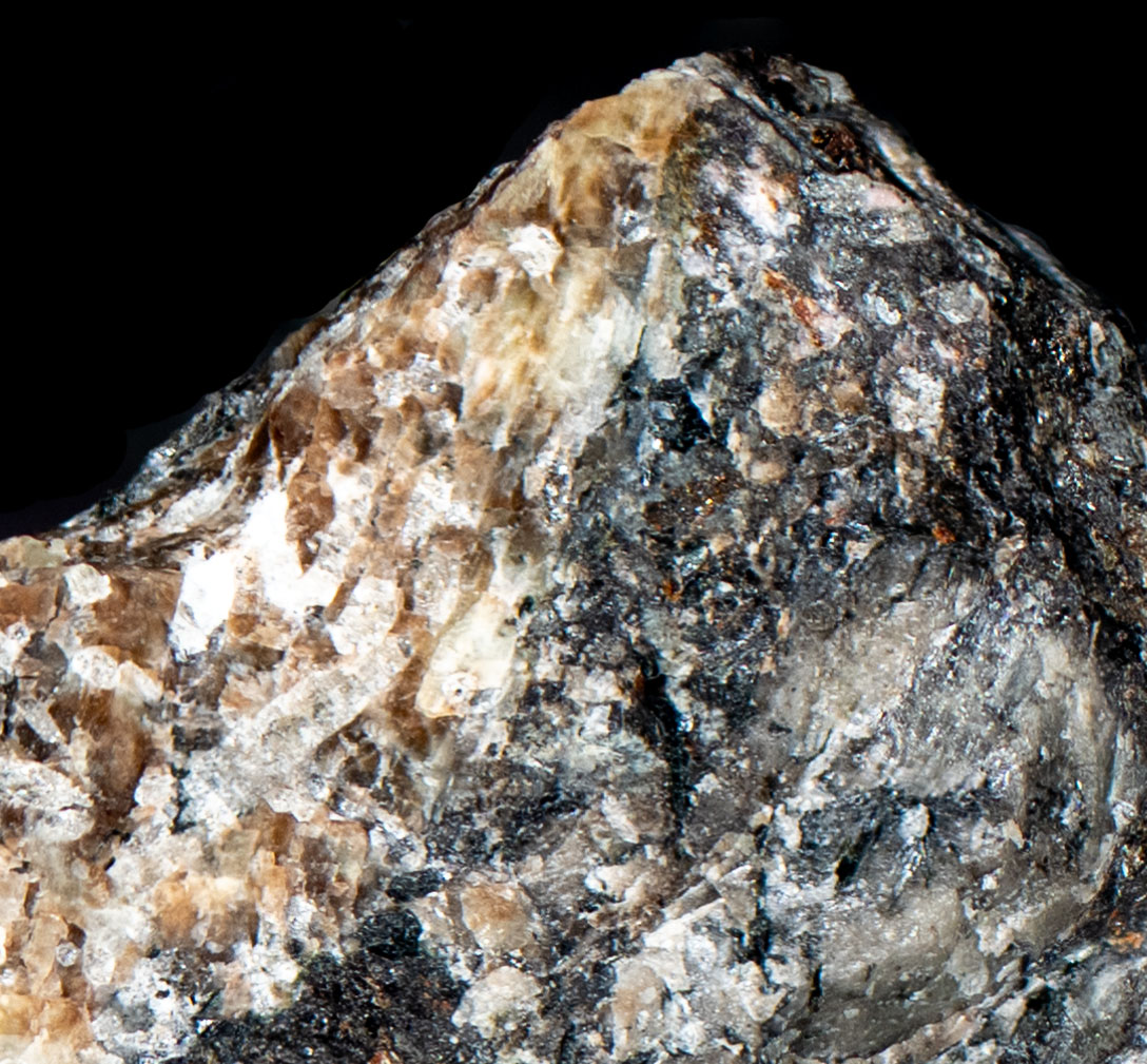 Normal light. Closeup