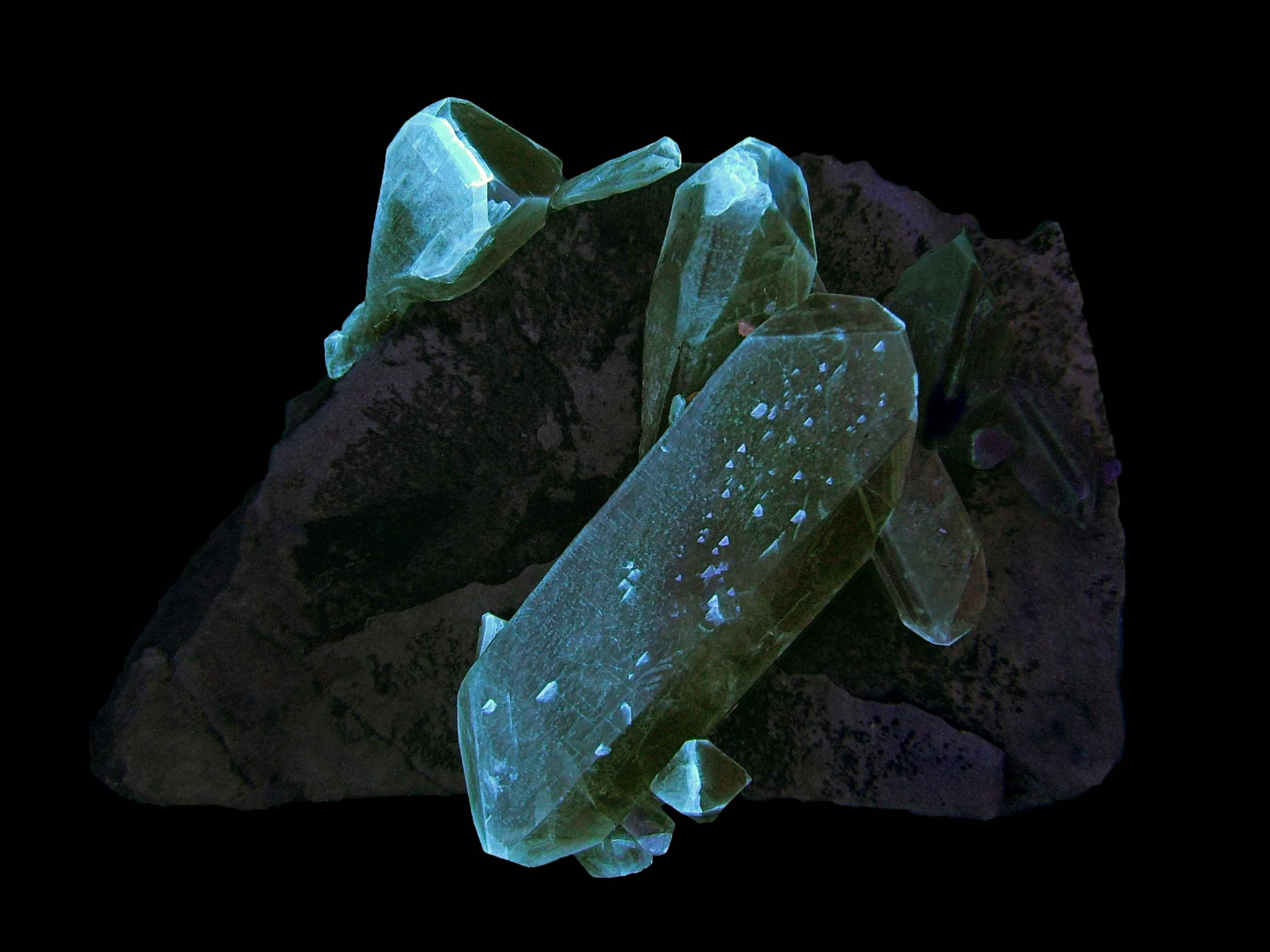 Fluorescence under shortwave UV light.