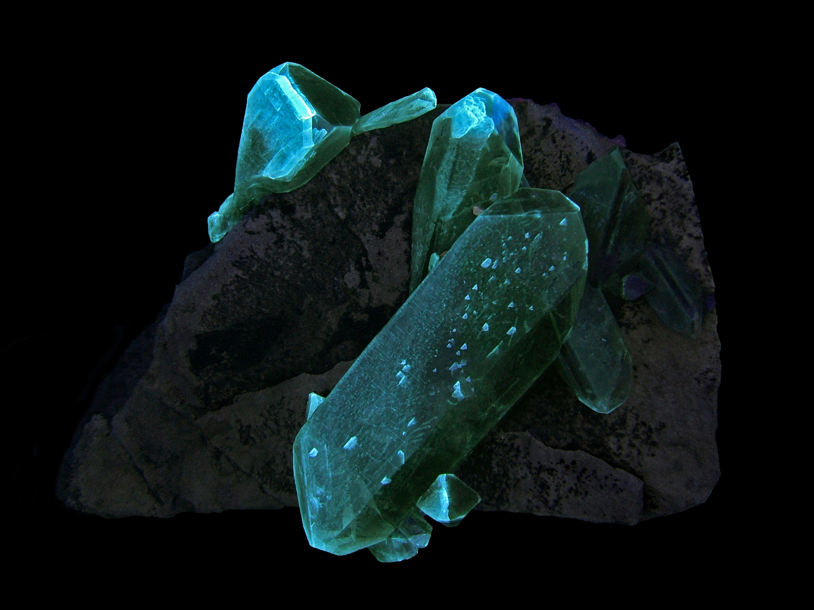 Fluorescence under midwave UV light.