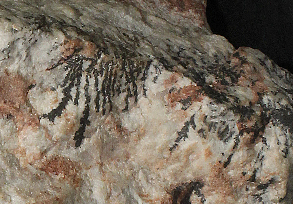 Normal light. Closeup of dendrites