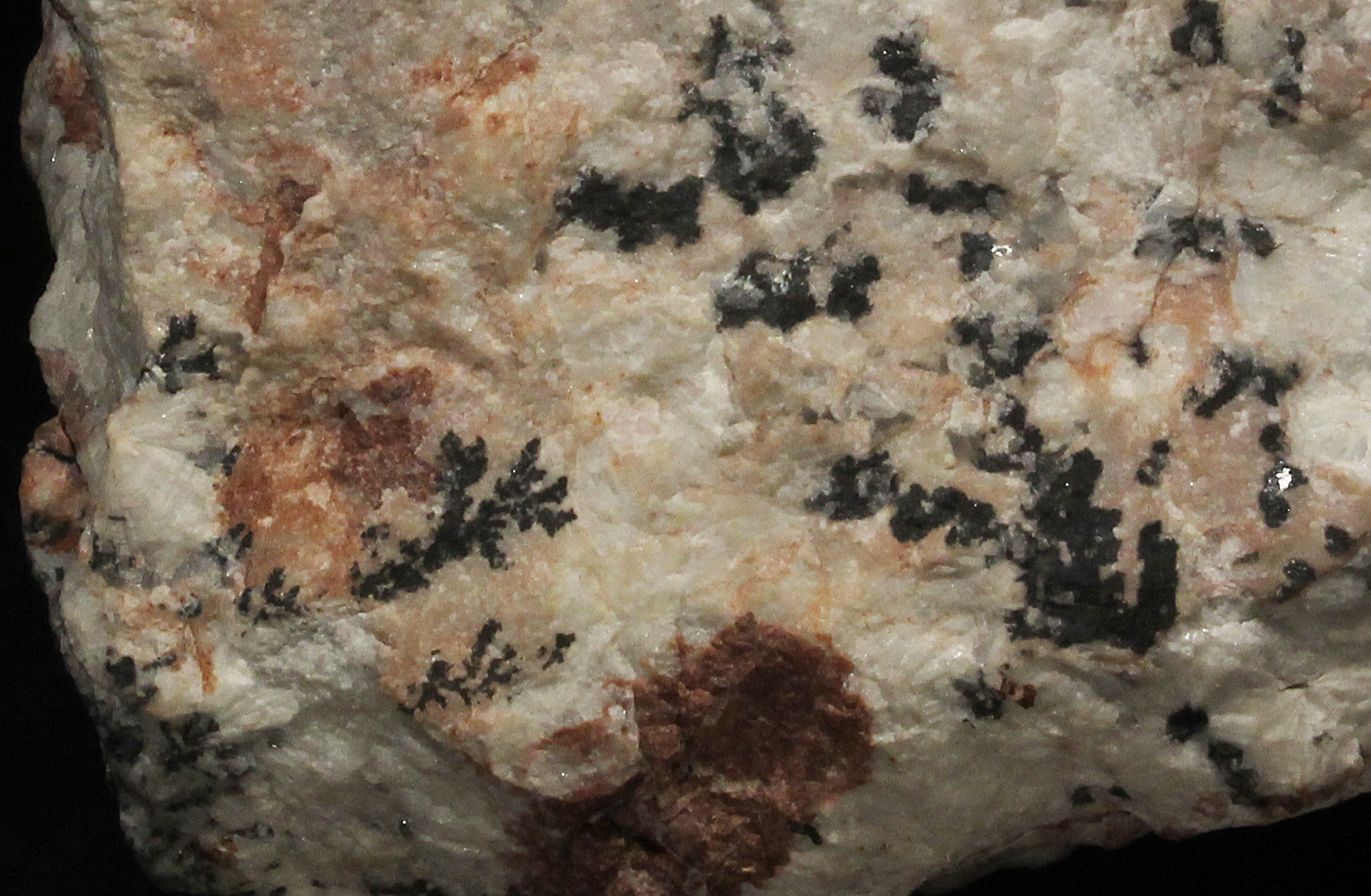 Normal light. Closeup of more dendrites