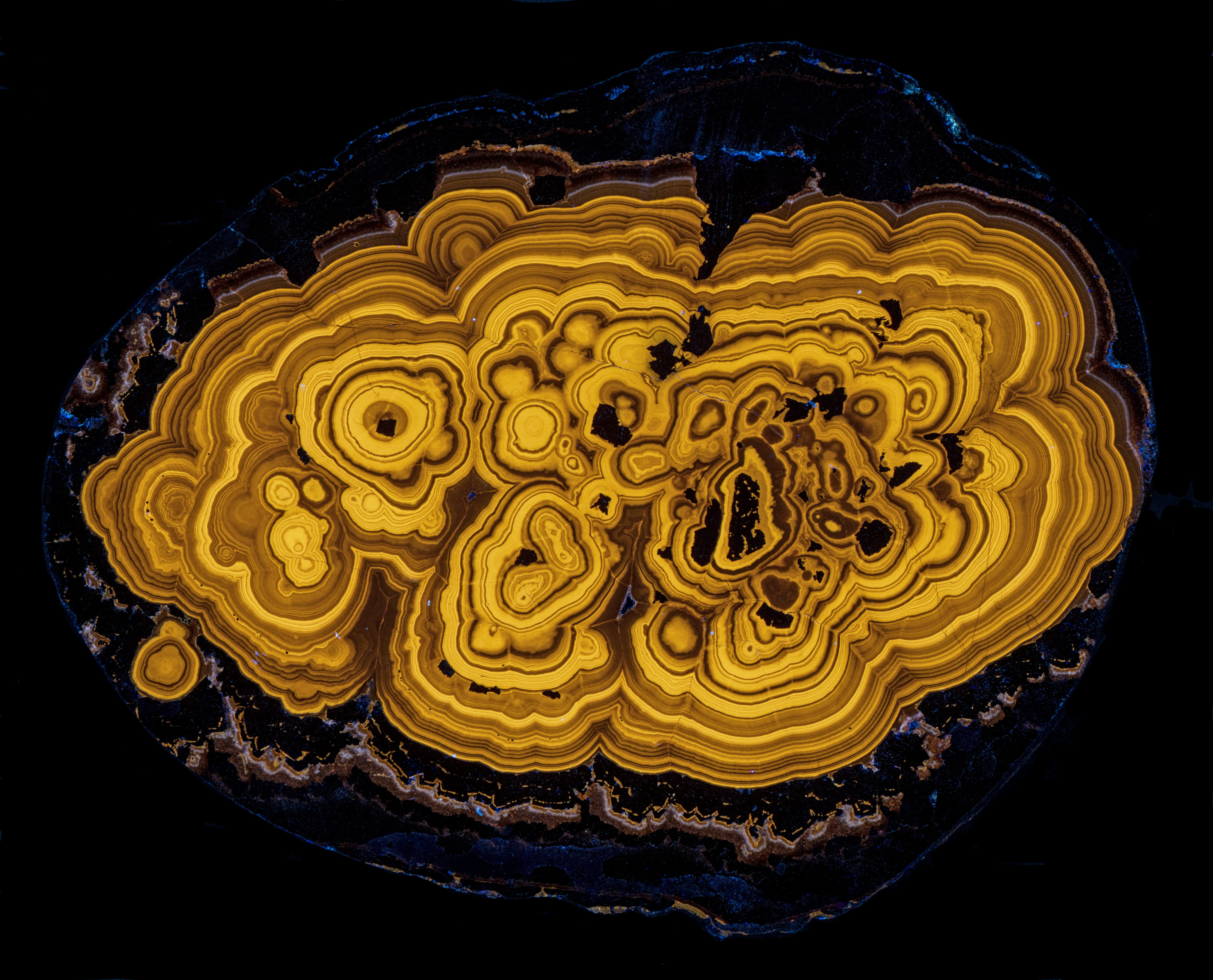 Fluorescence under longwave UV light.