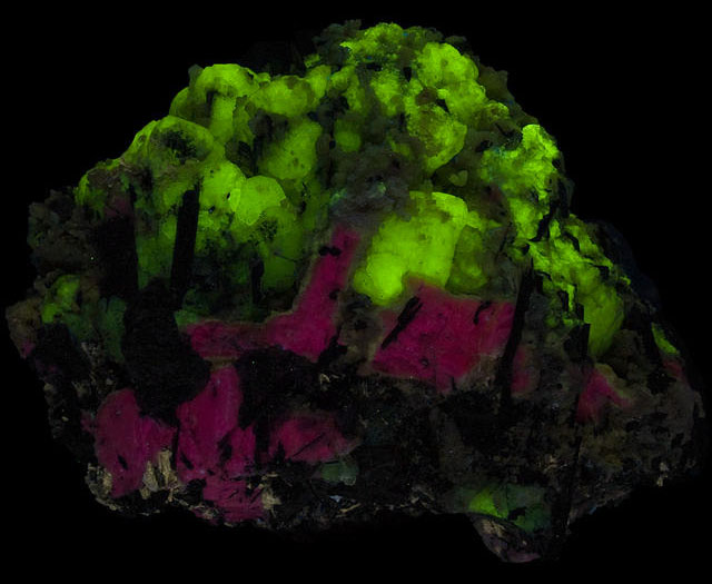 Fluorescence under shortwave UV light.