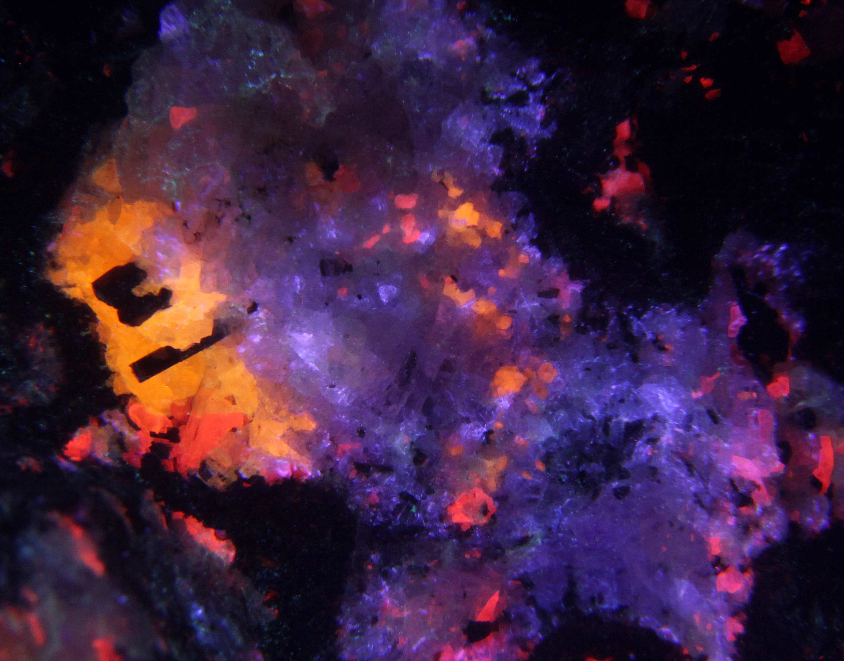 Fluorescence under longwave and midwave UV light. Closeup. FOV 18mm