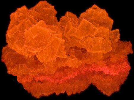 Fluorescence under shortwave UV light.