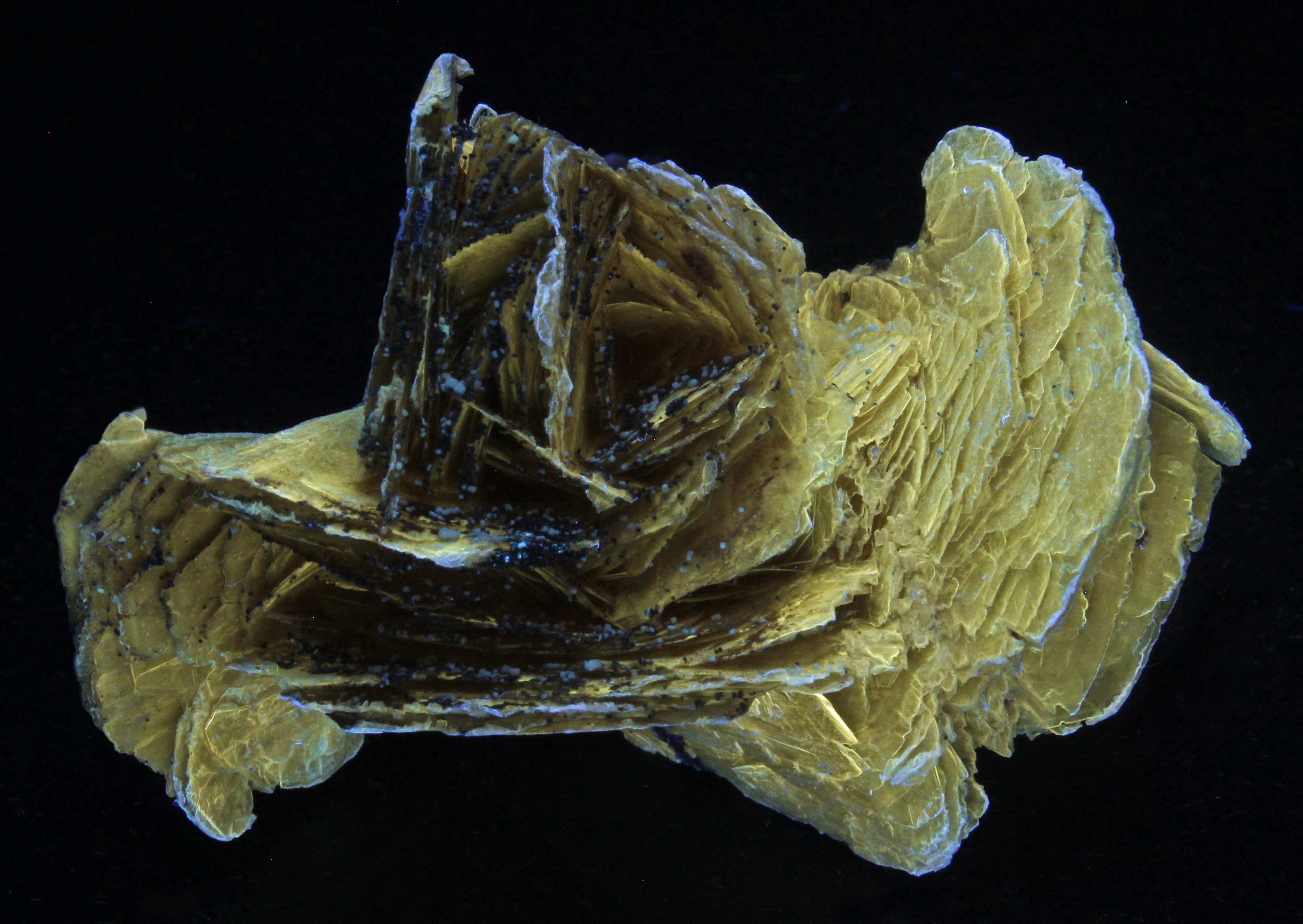 Fluorescence under shortwave UV light.