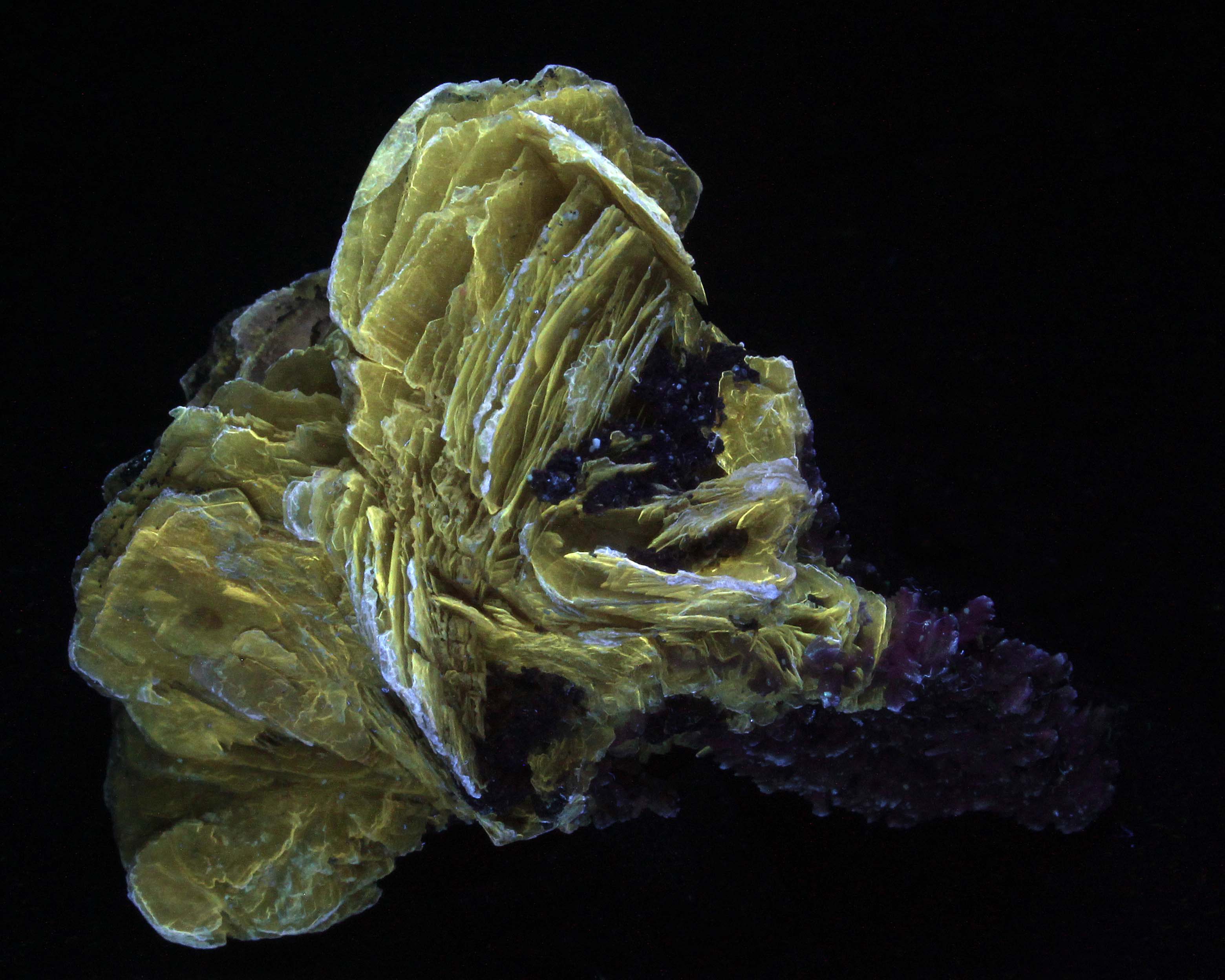 Fluorescence under shortwave UV light. Side 2