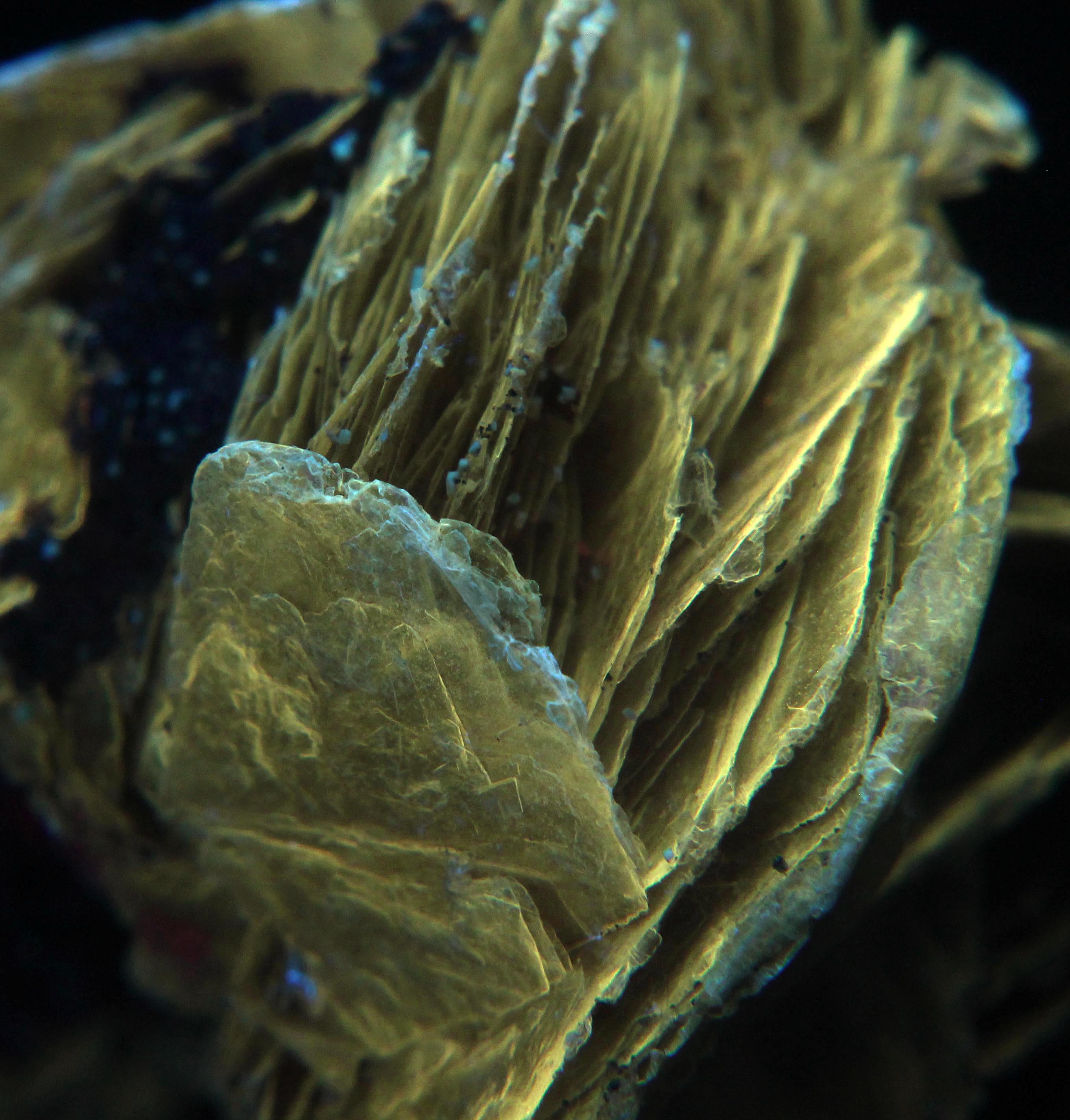 Fluorescence under shortwave UV light. Closeup