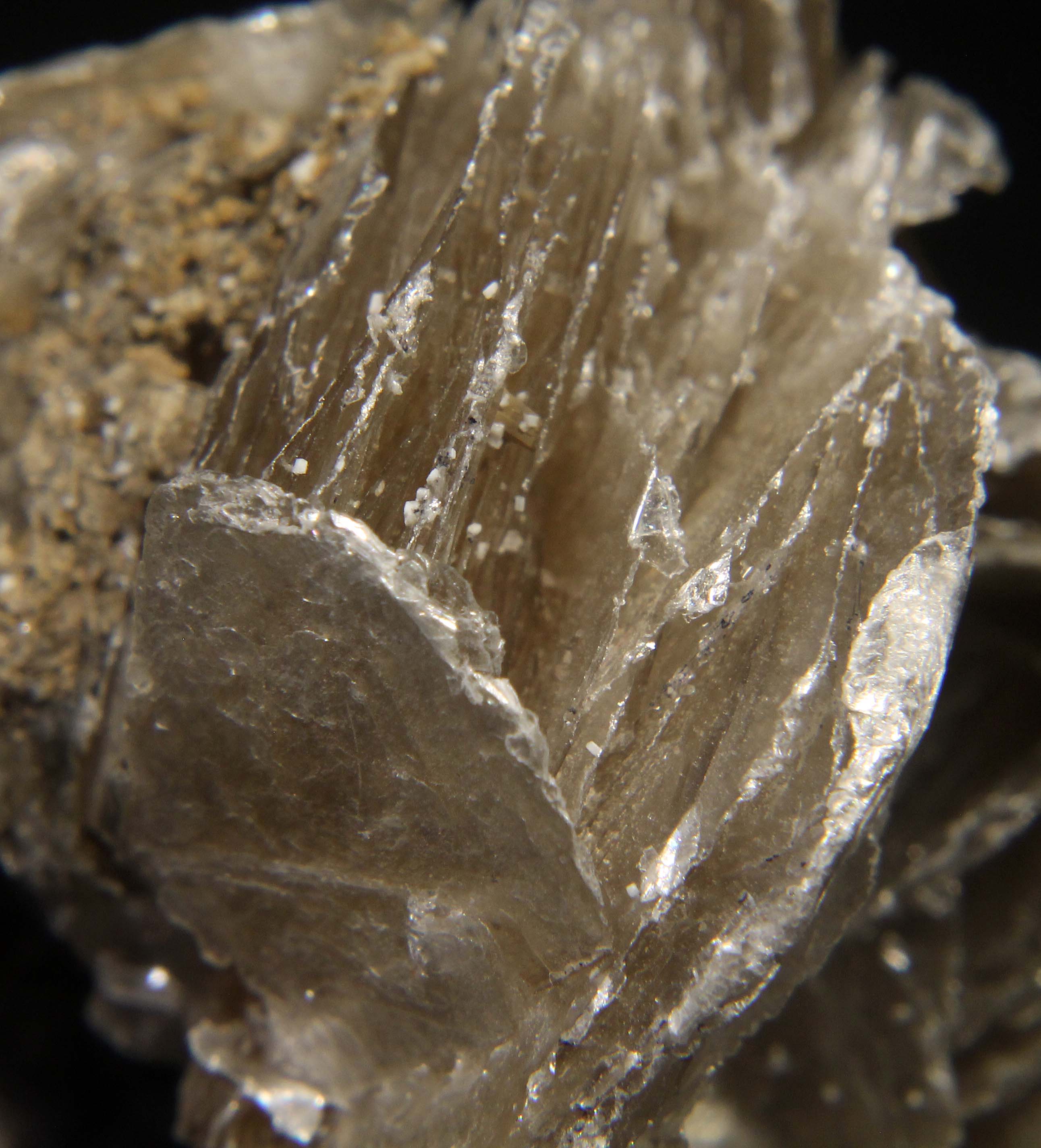 Normal light. Closeup